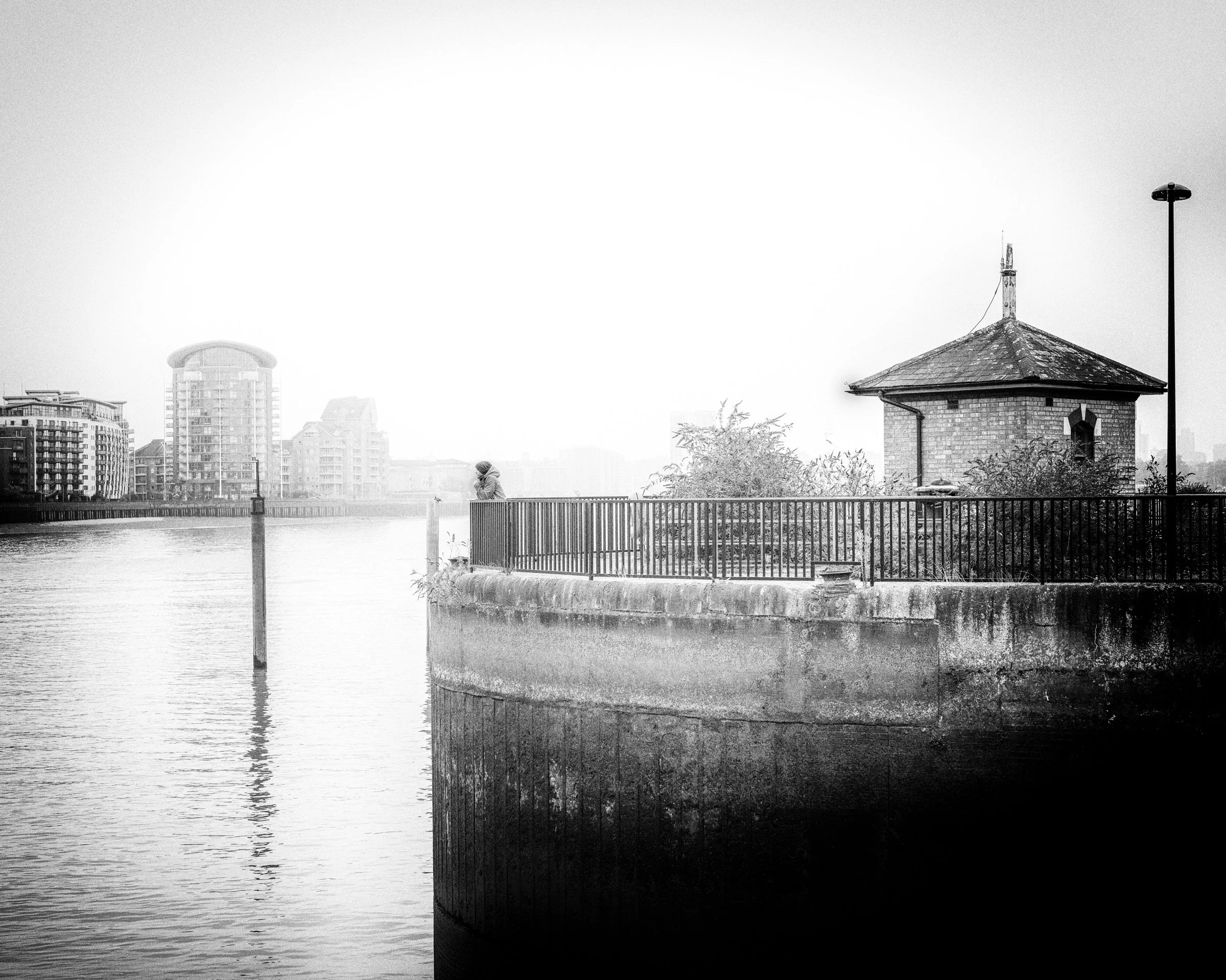 20241110-_DSC2892-Edit-2.jpg