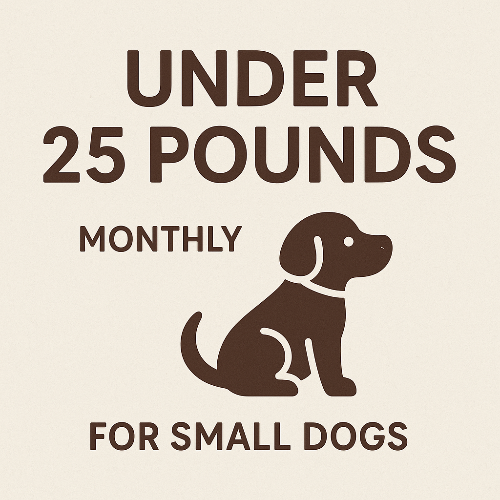 ChatGPT Image Sep 16, 2025, 11_15_10 AM.png