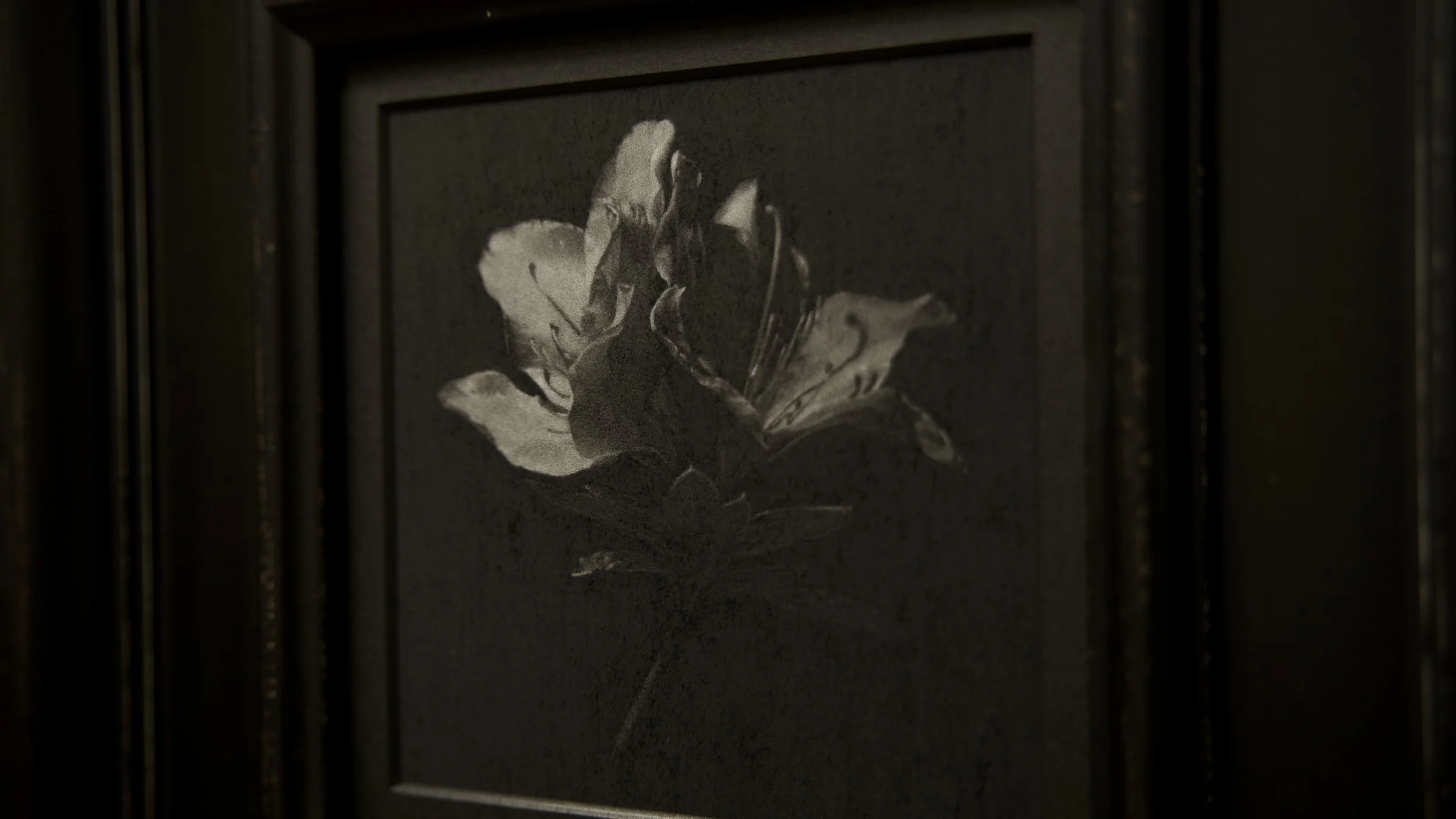 アザレア / ¥156,000