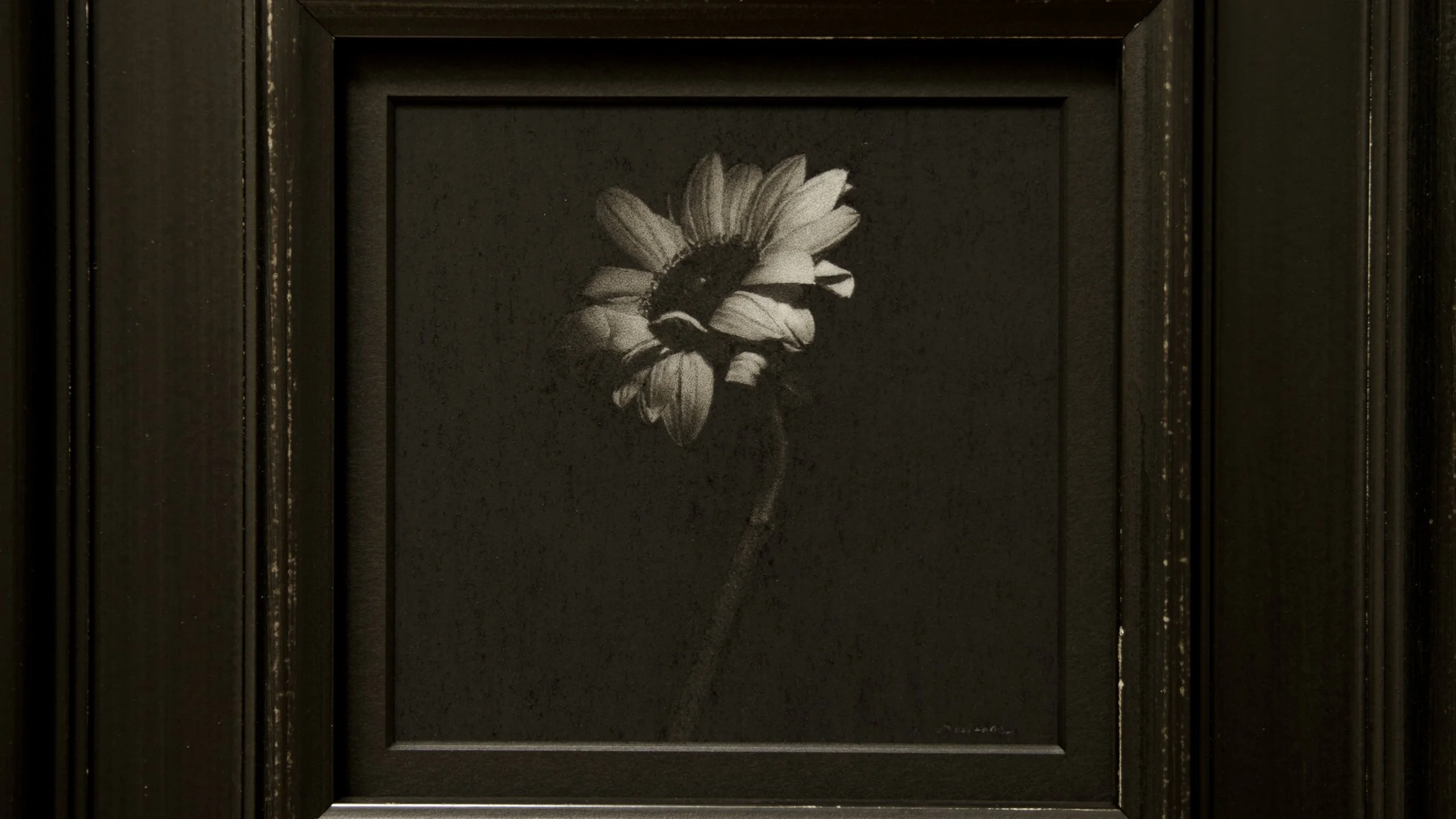 Little Sunflower / 128 x 123