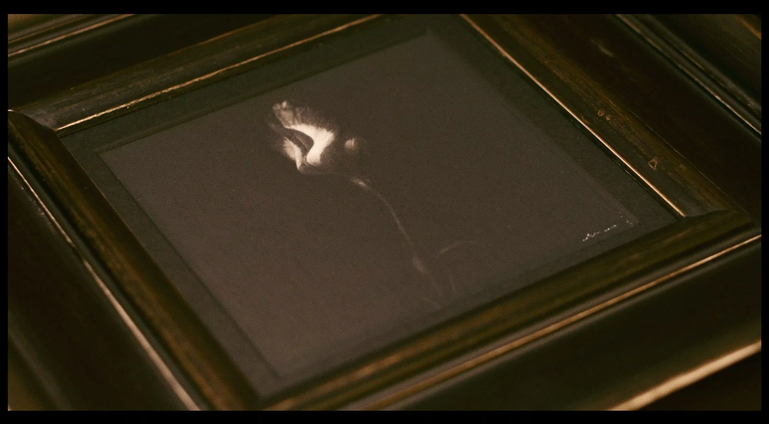 トルコキキョウ