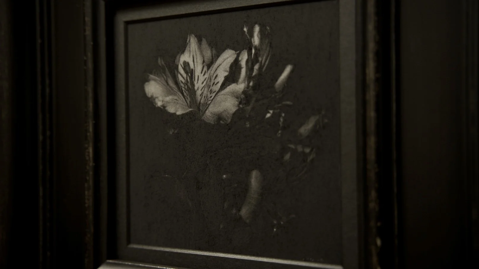 Alstroemeria / 128 x 123