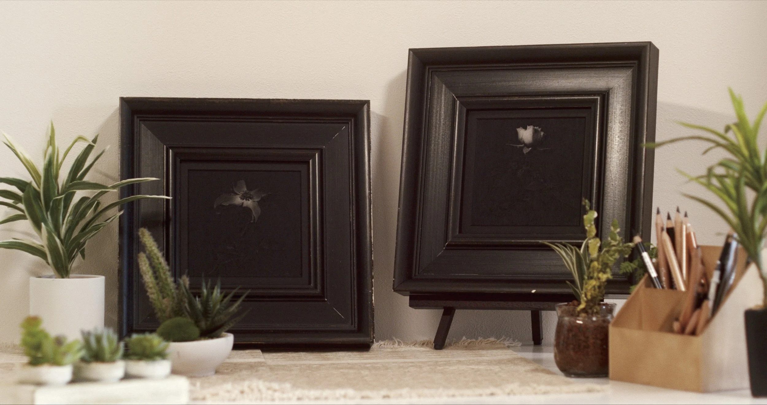 MINI SERIES. / ミニシリーズ