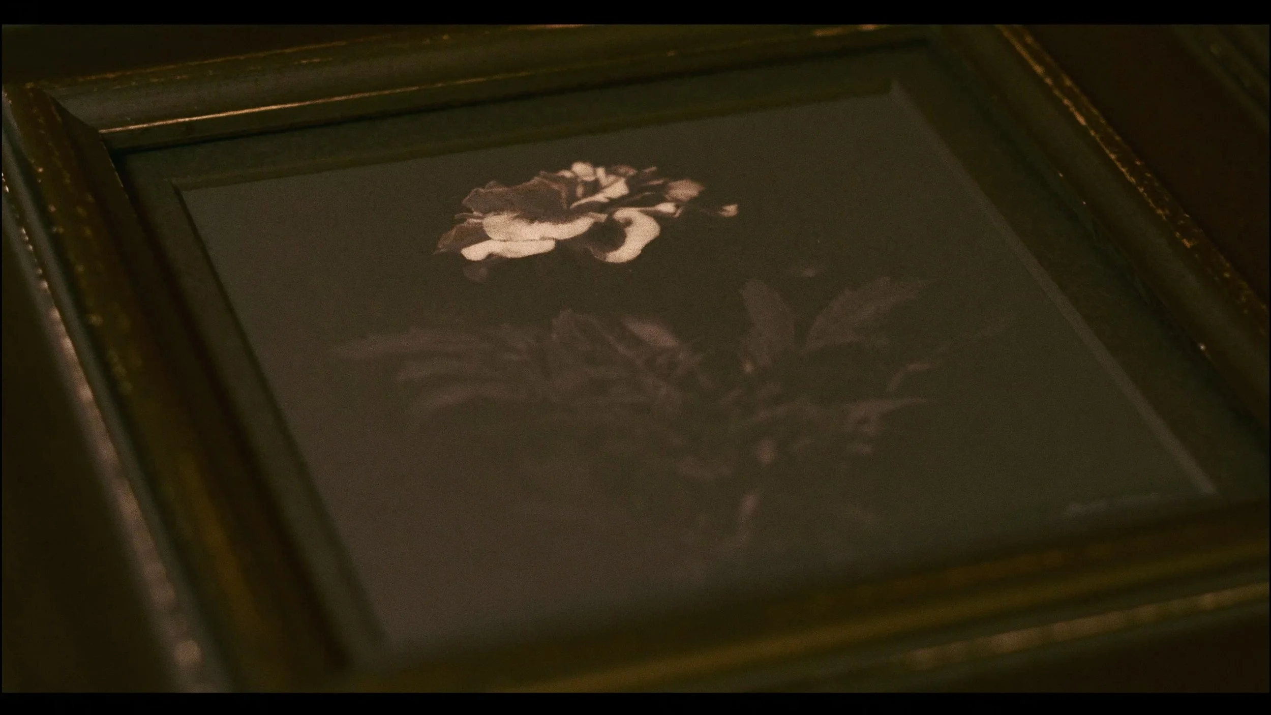 Marigold / 128 x 123