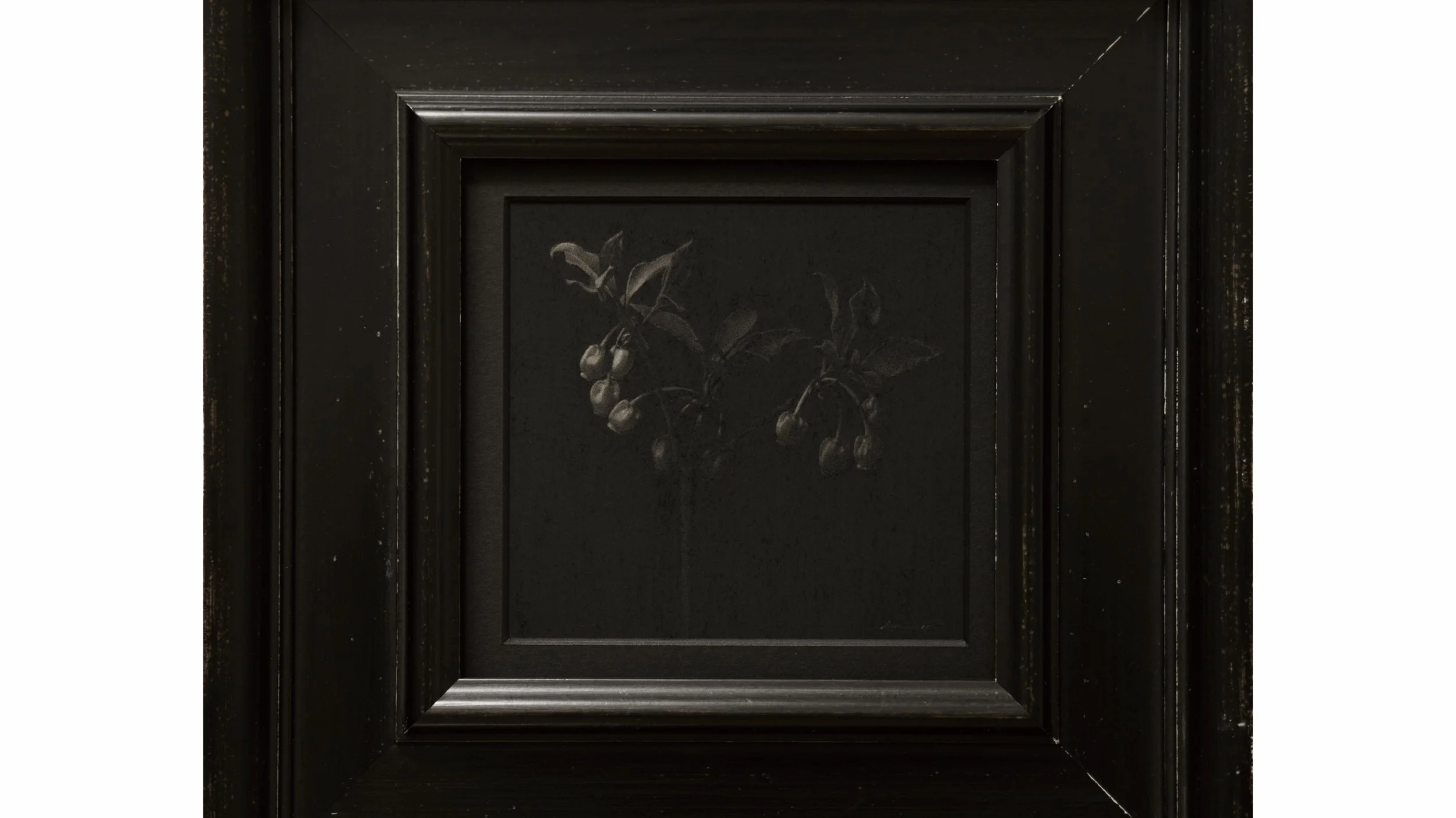 ドウダンツツジ / ¥128,000