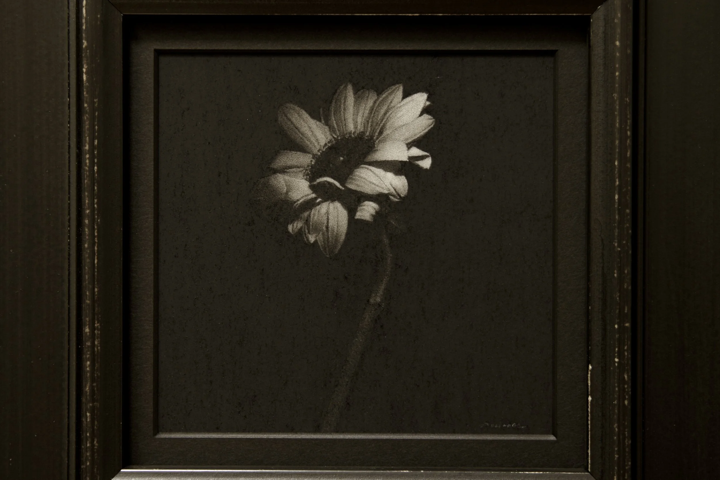 小さなひまわり