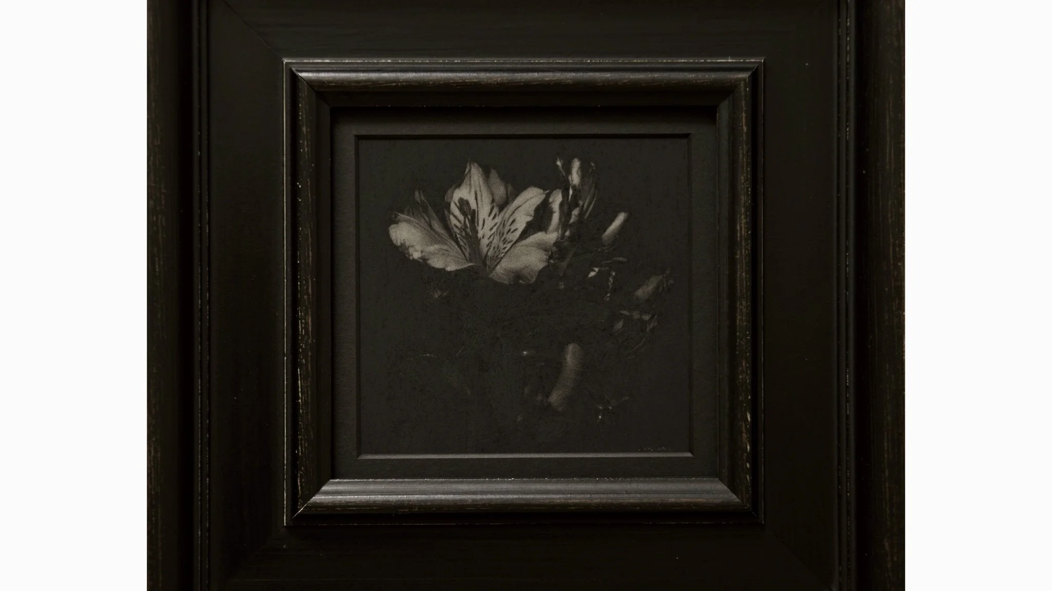 アルストロメリア / ¥142,000