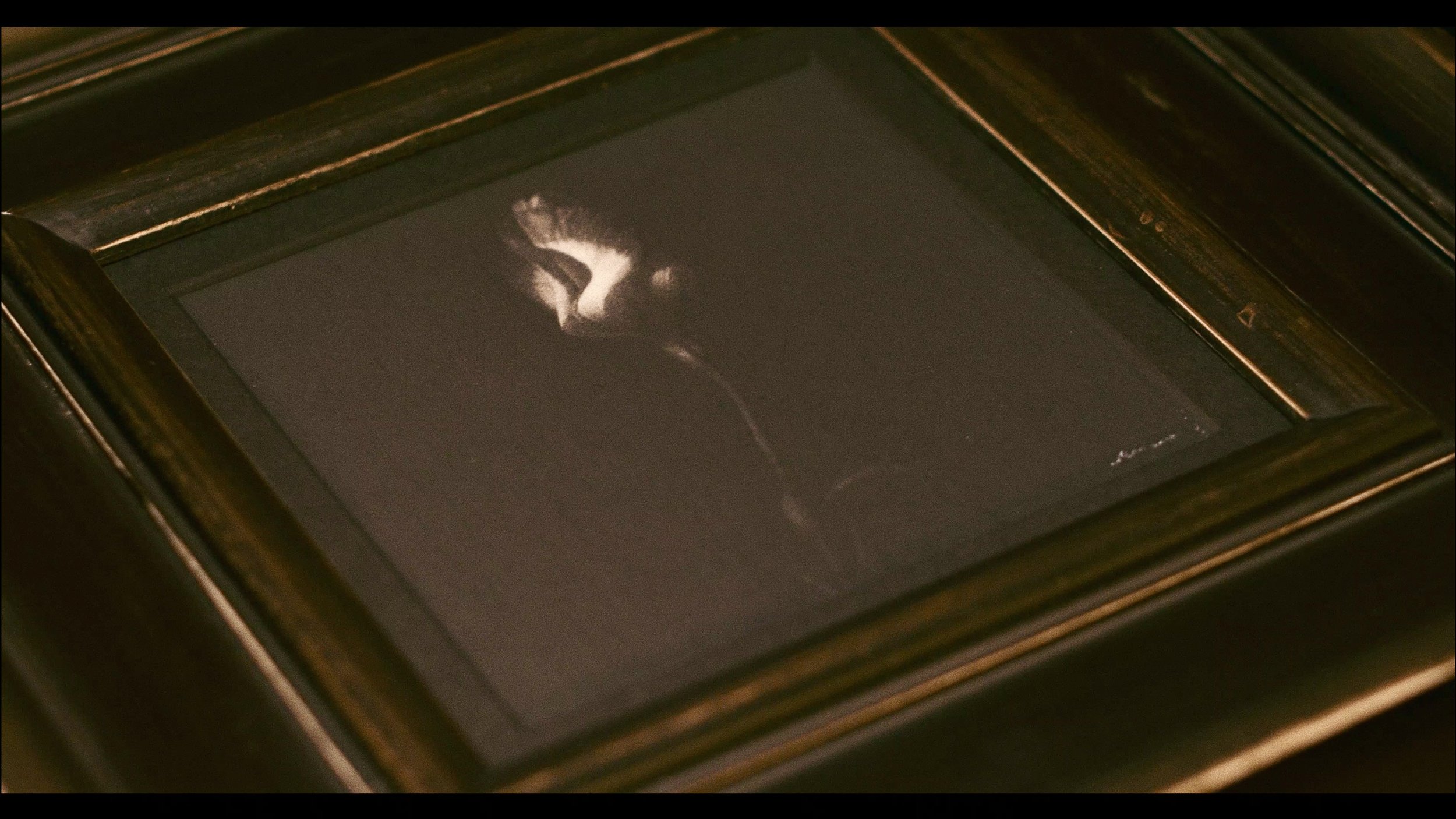 Lisianthus / 128 x 123