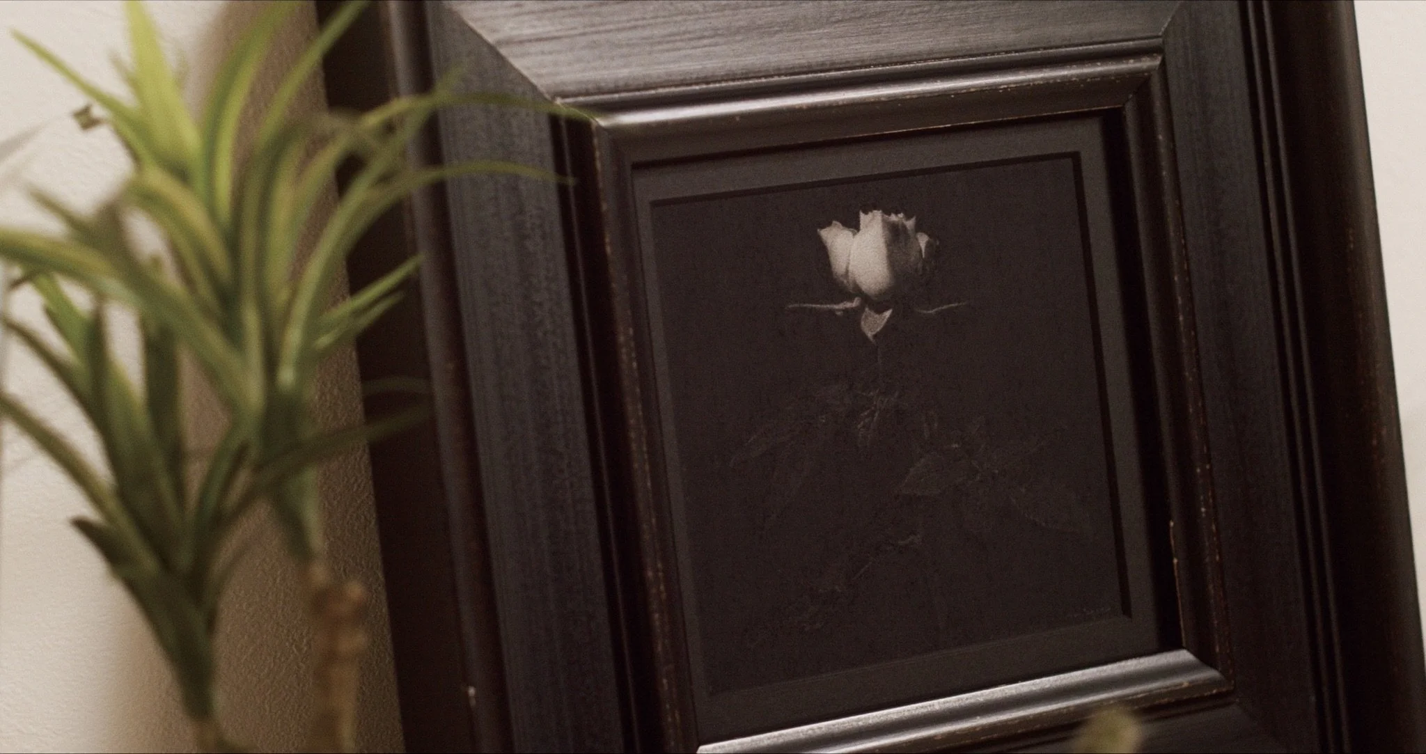 Miniature Rose / 128 x 123