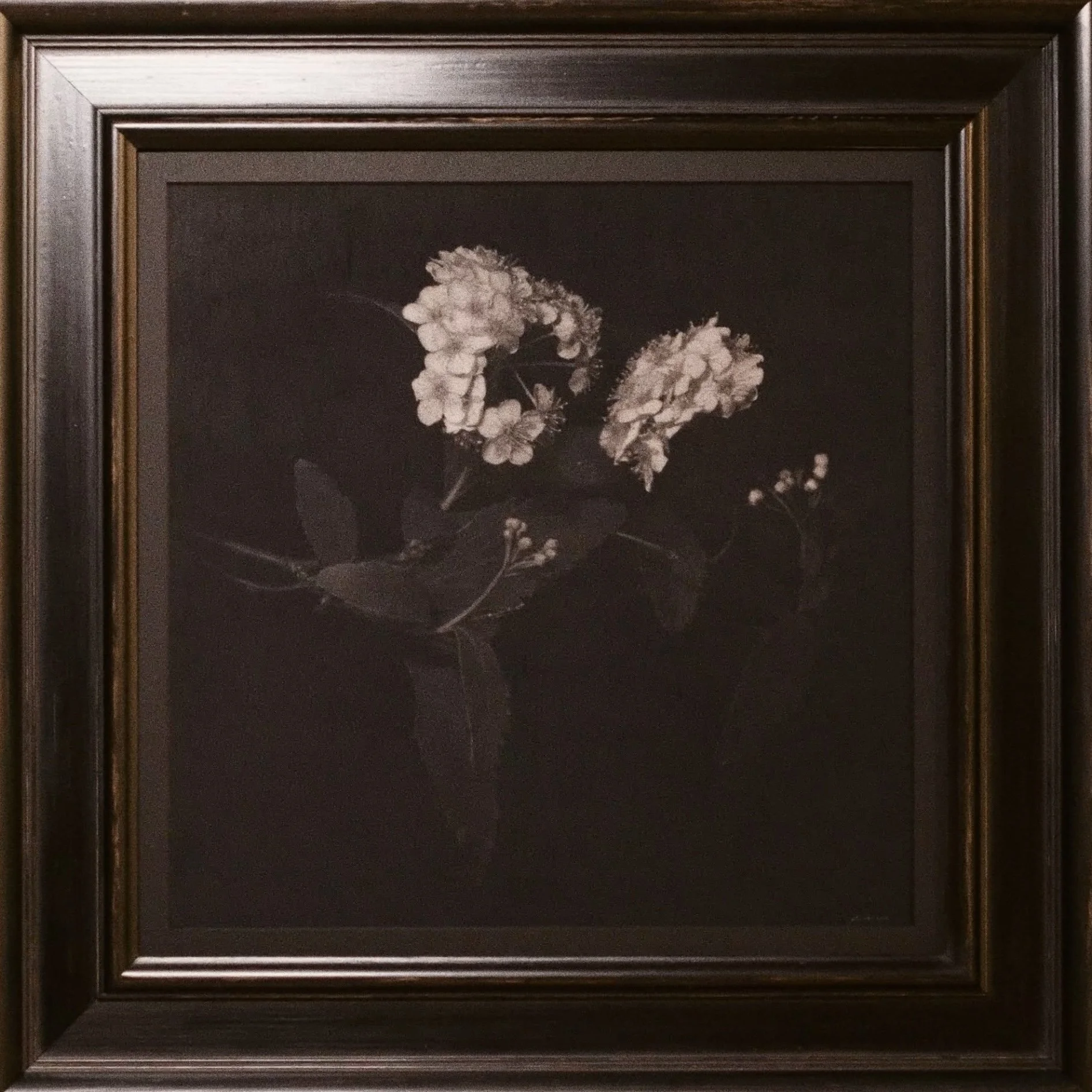 Kodemari / ¥350,000