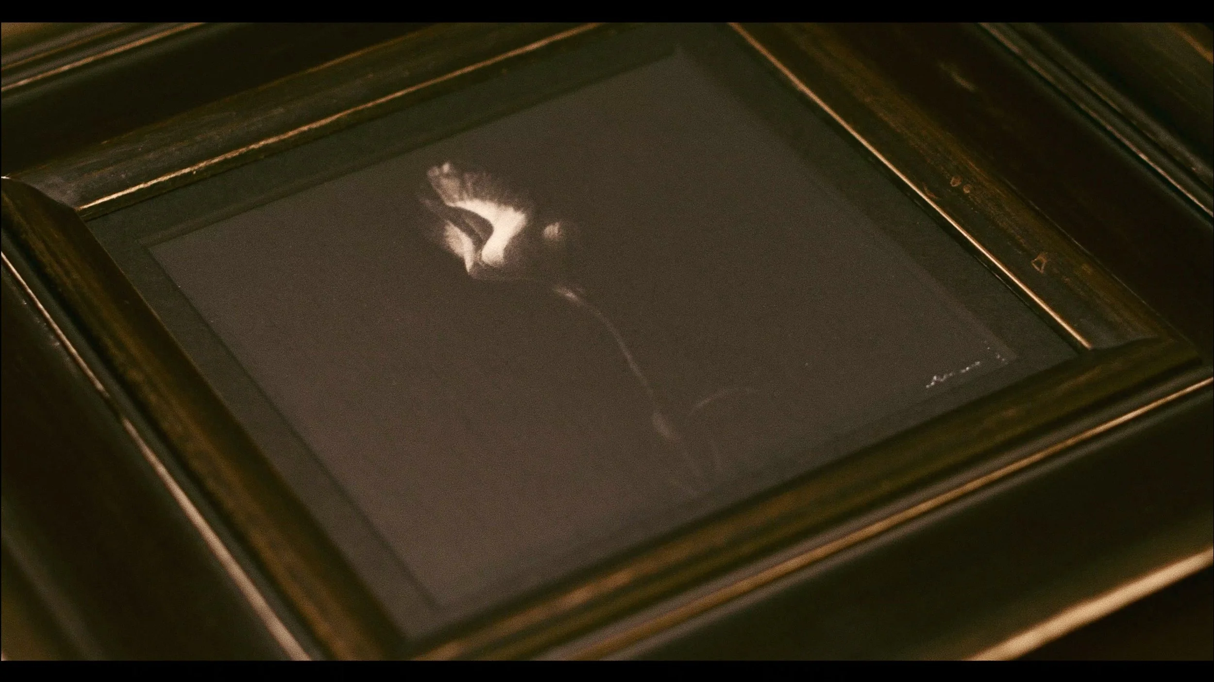 トルコキキョウ / ¥156,000