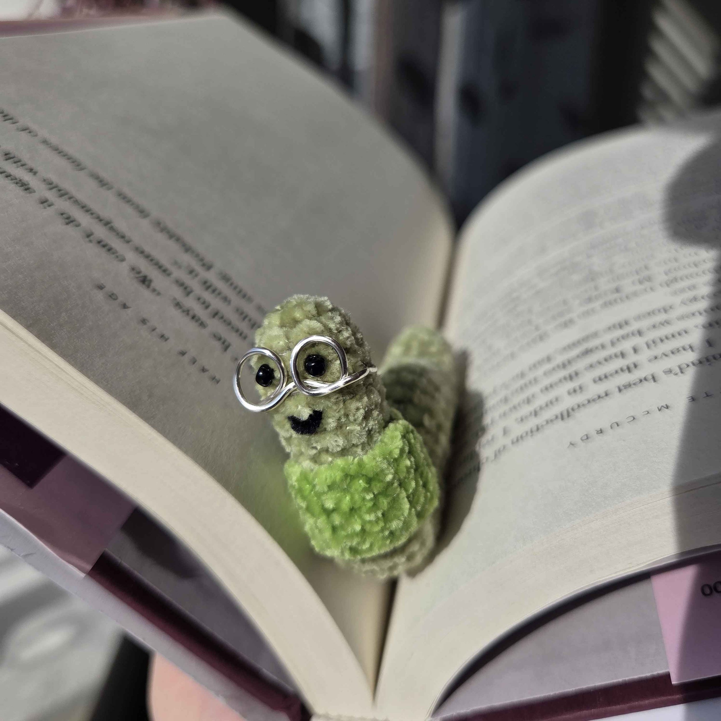 Book Worm