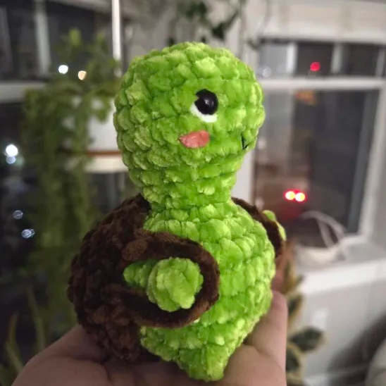 turtle 3.png