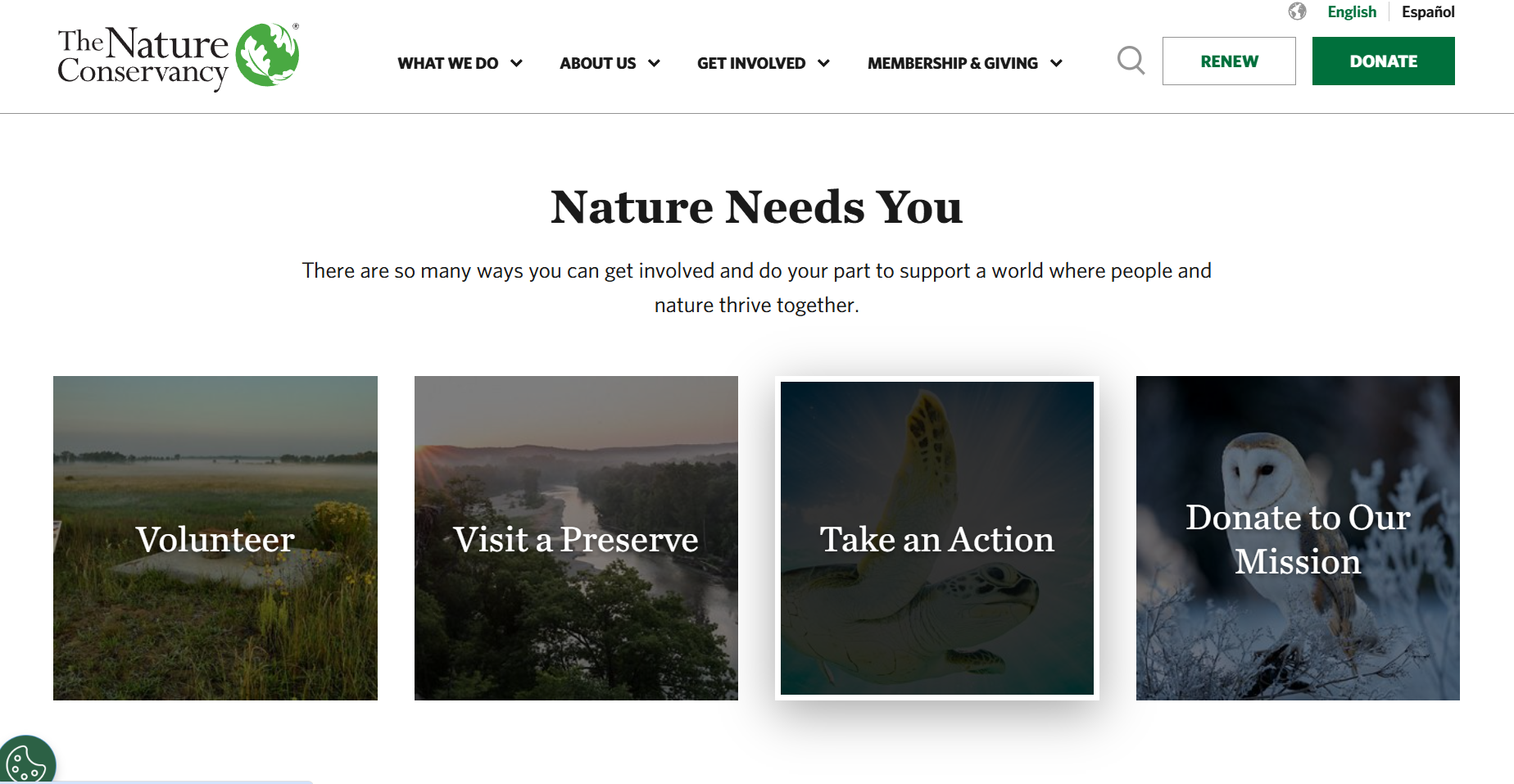 “Nature Needs You”: Personalizing Urgency in Participation Language