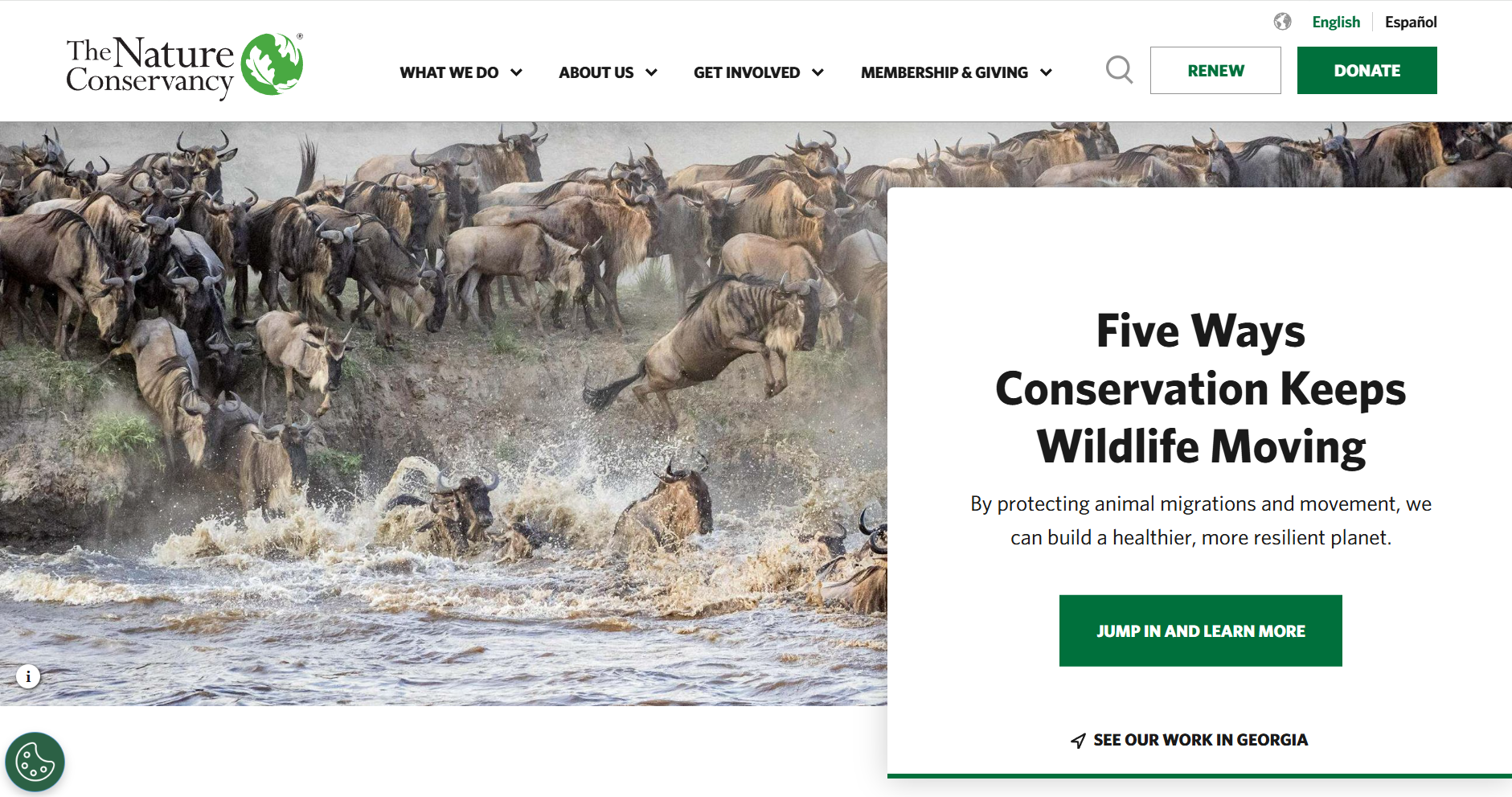The Nature Conservancy_Home Page_3-17-2026.png