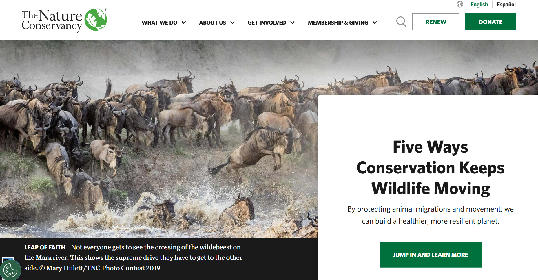 The Nature Conservancy_Home Page_photography_3-17-2026.png