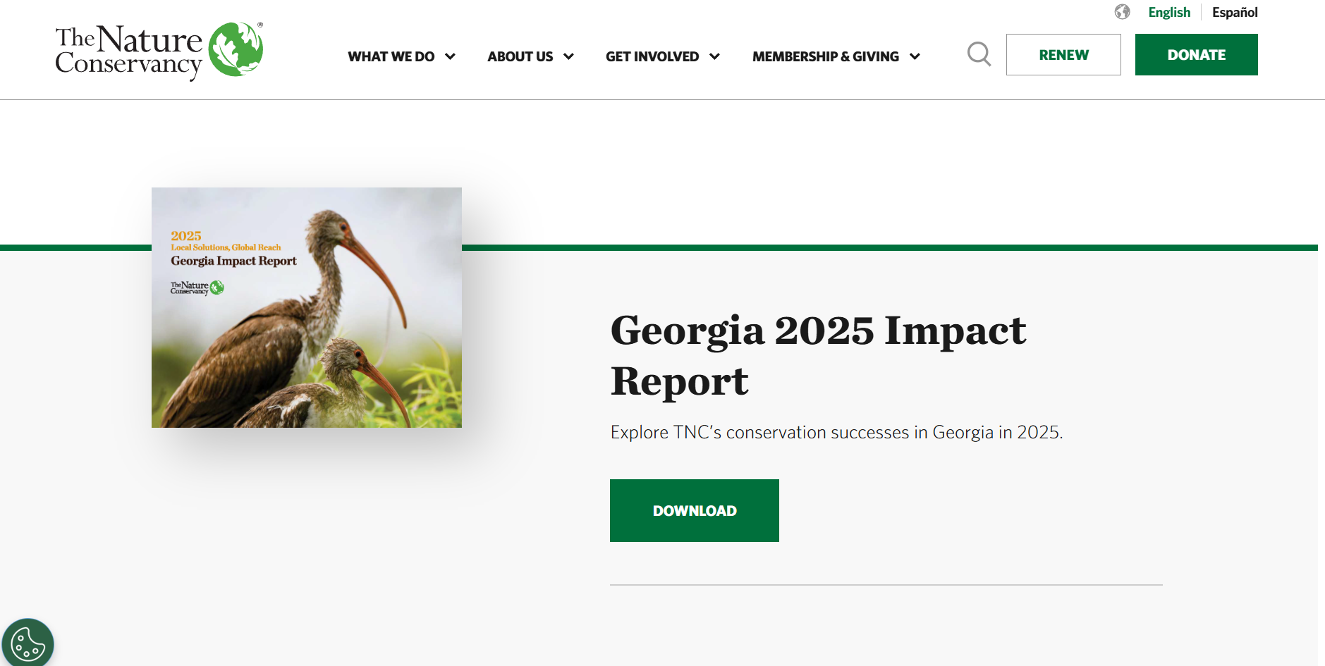 State-Level Impact Reports for Local Accountability