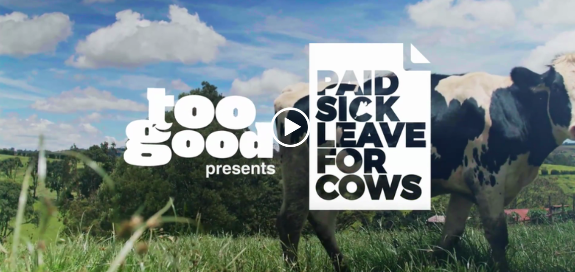 Kenya’s Dairy Cows Got Paid Sick Leave to Keep Antibiotics Out of Milk