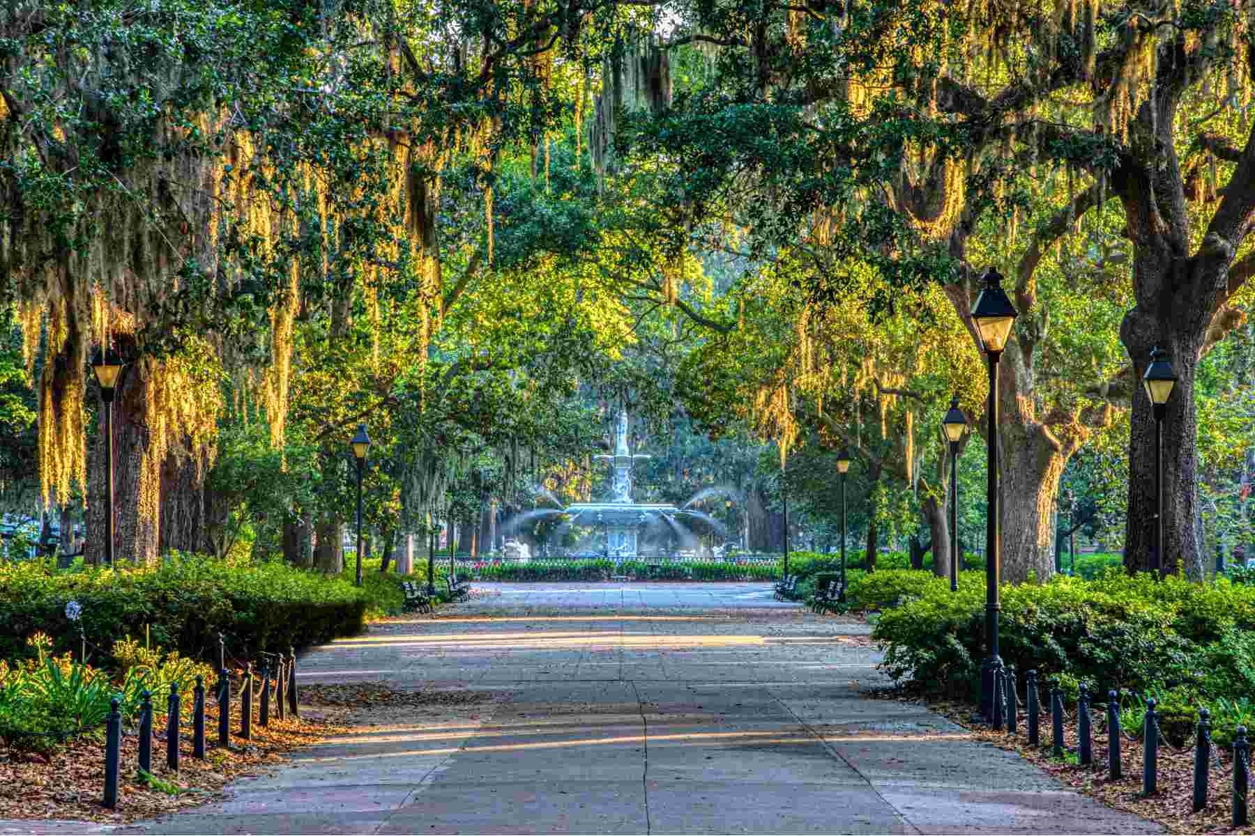 A peaceful park pathway lined with tall trees and vintage street lamps, leading to a fountain in the distance, bathed in soft sunlight.