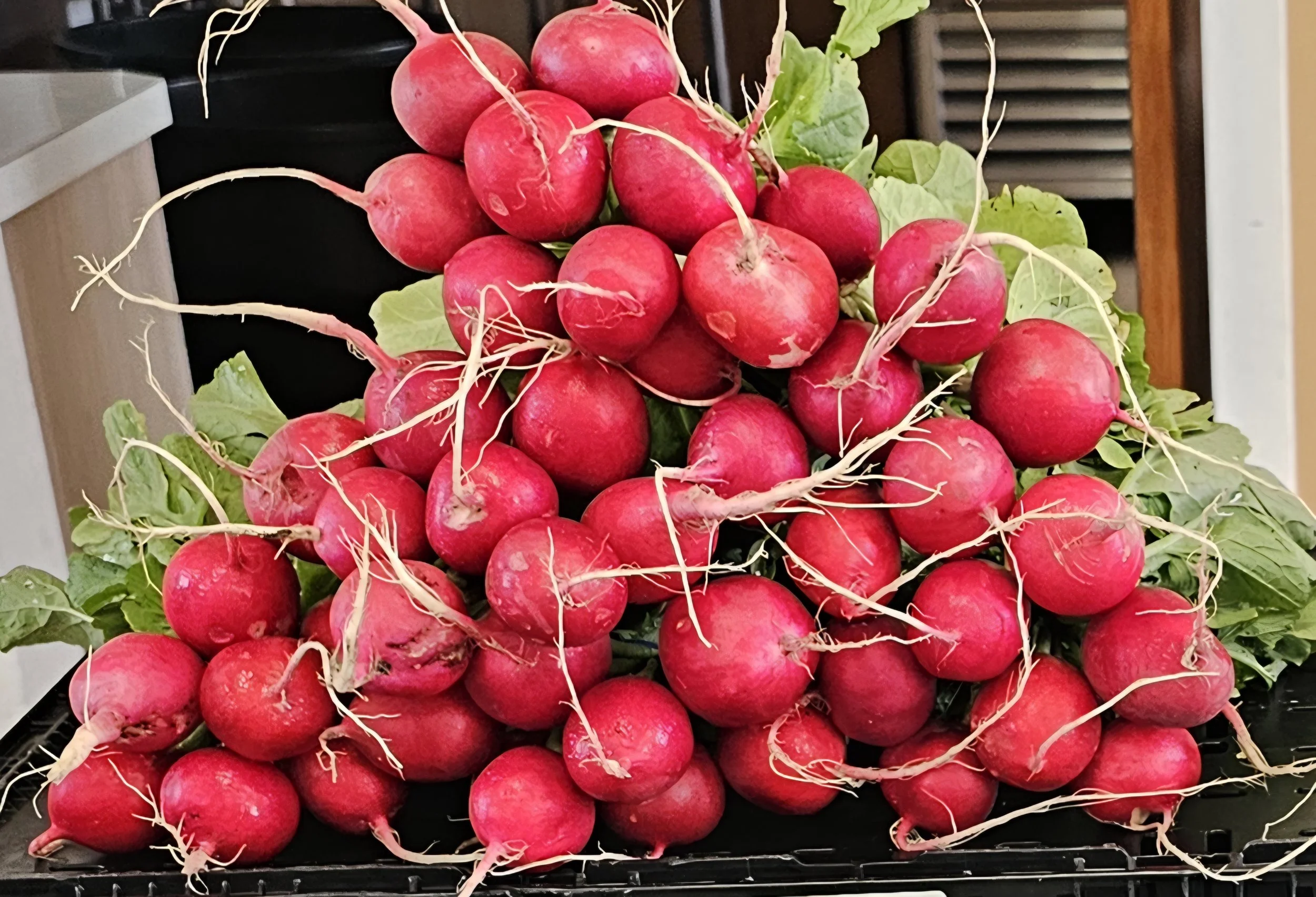 Red Radishes: With a unique flavor profile that blends a mild sweetness with a subtle peppery kick, these radishes make a versatile addition to salads, appetizers, or garnishes. 
