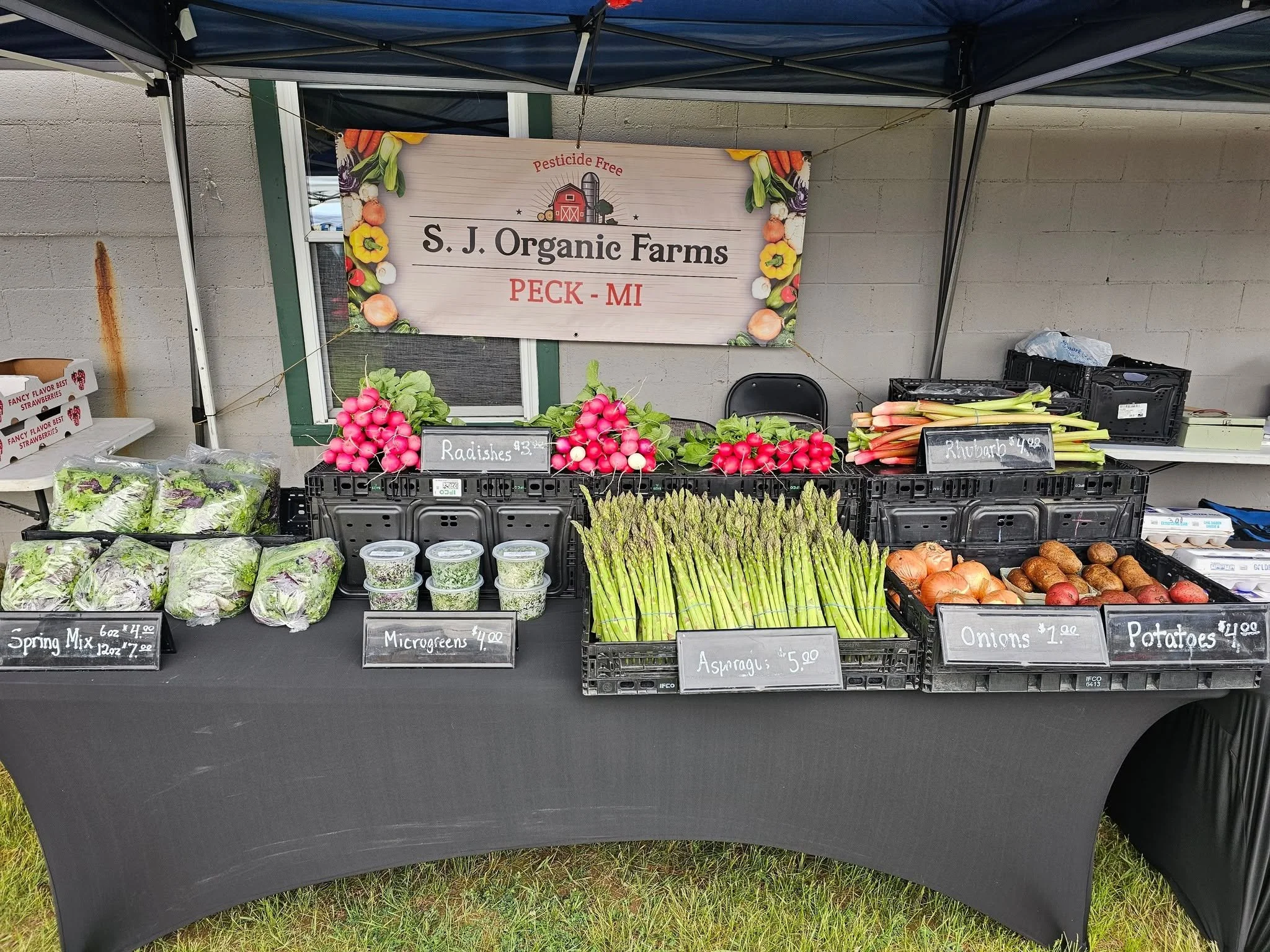 Fresh organic produce display at S.J. Organic Farms market stand in Peck, Michigan, featuring radishes, beets, carrots, asparagus, and spring mix