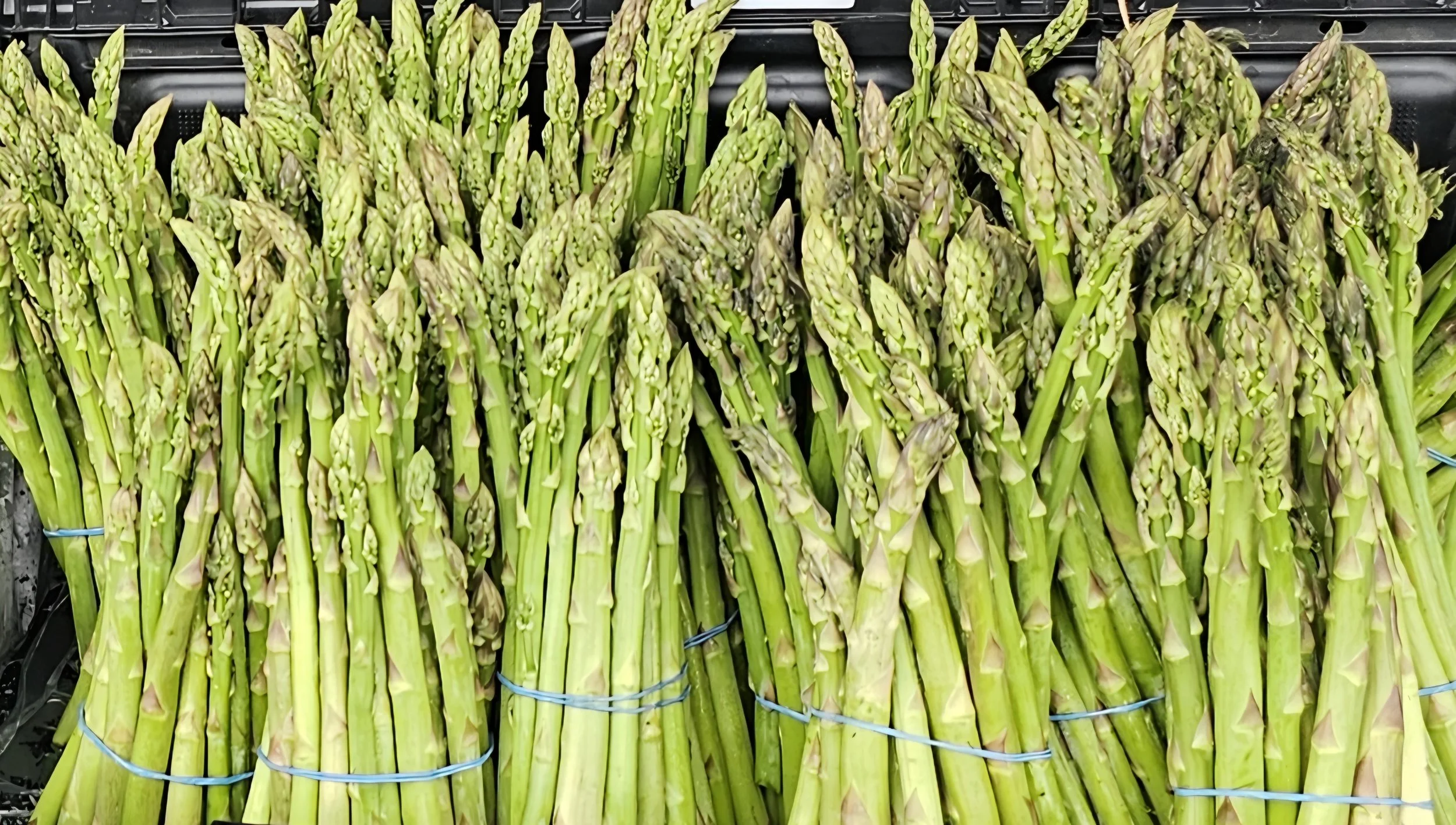 Asparagus: Asparagus is a nutrient-packed vegetable that adds both flavor and health benefits to your meals. Rich in vitamins, minerals, and antioxidants, it’s a versatile ingredient perfect for grilling, roasting, steaming, or adding to salads.