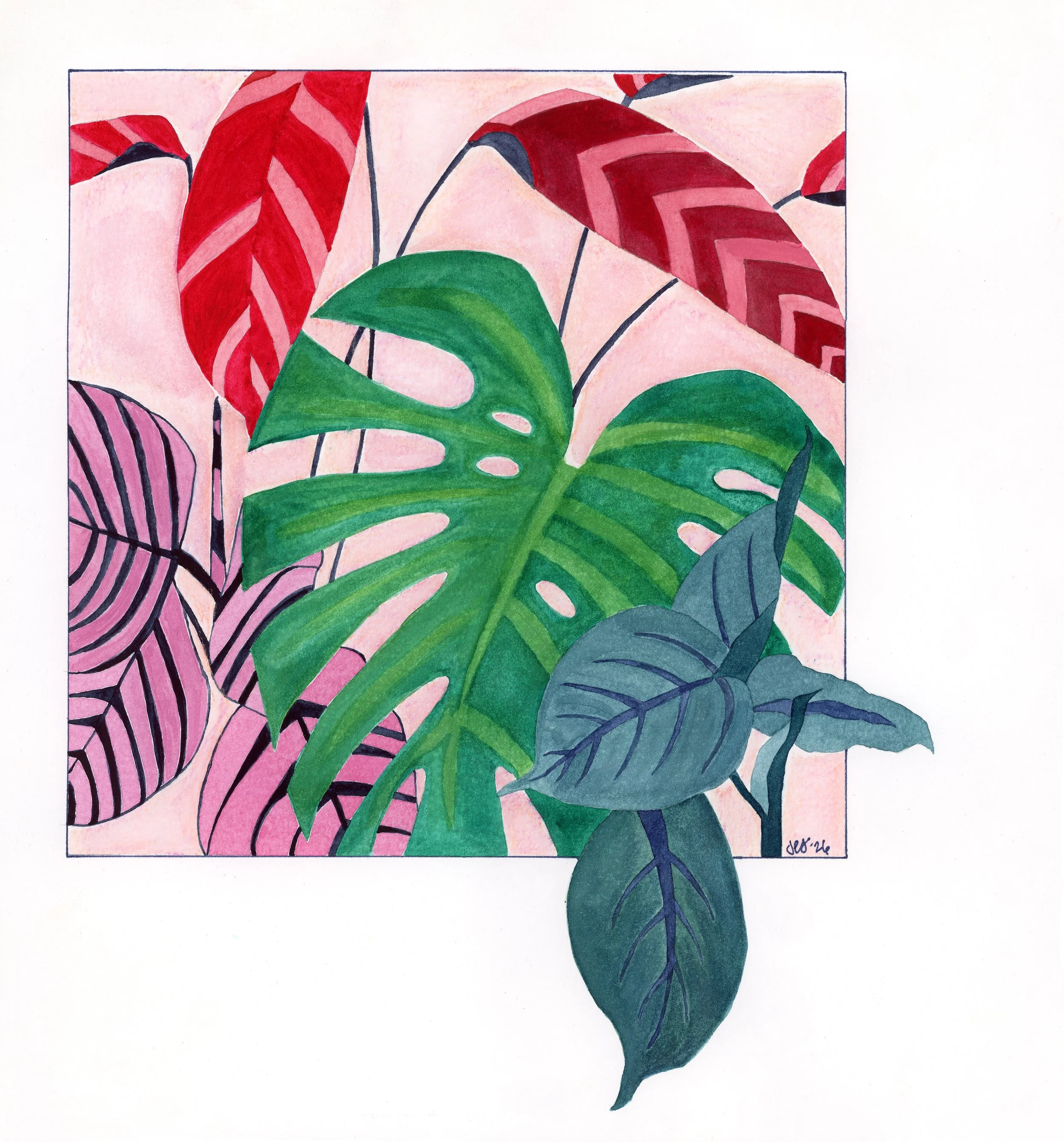 Jill_Stockness_IndoorCat copy.jpg