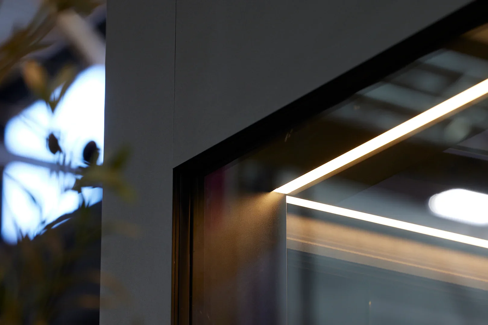 Une vue partielle d'une façade moderne avec un cadre de fenêtre en métal noir, des luminaires intégrés, et un reflet de lumière dans la vitre, avec une partie floue d'une plante en premier plan.
