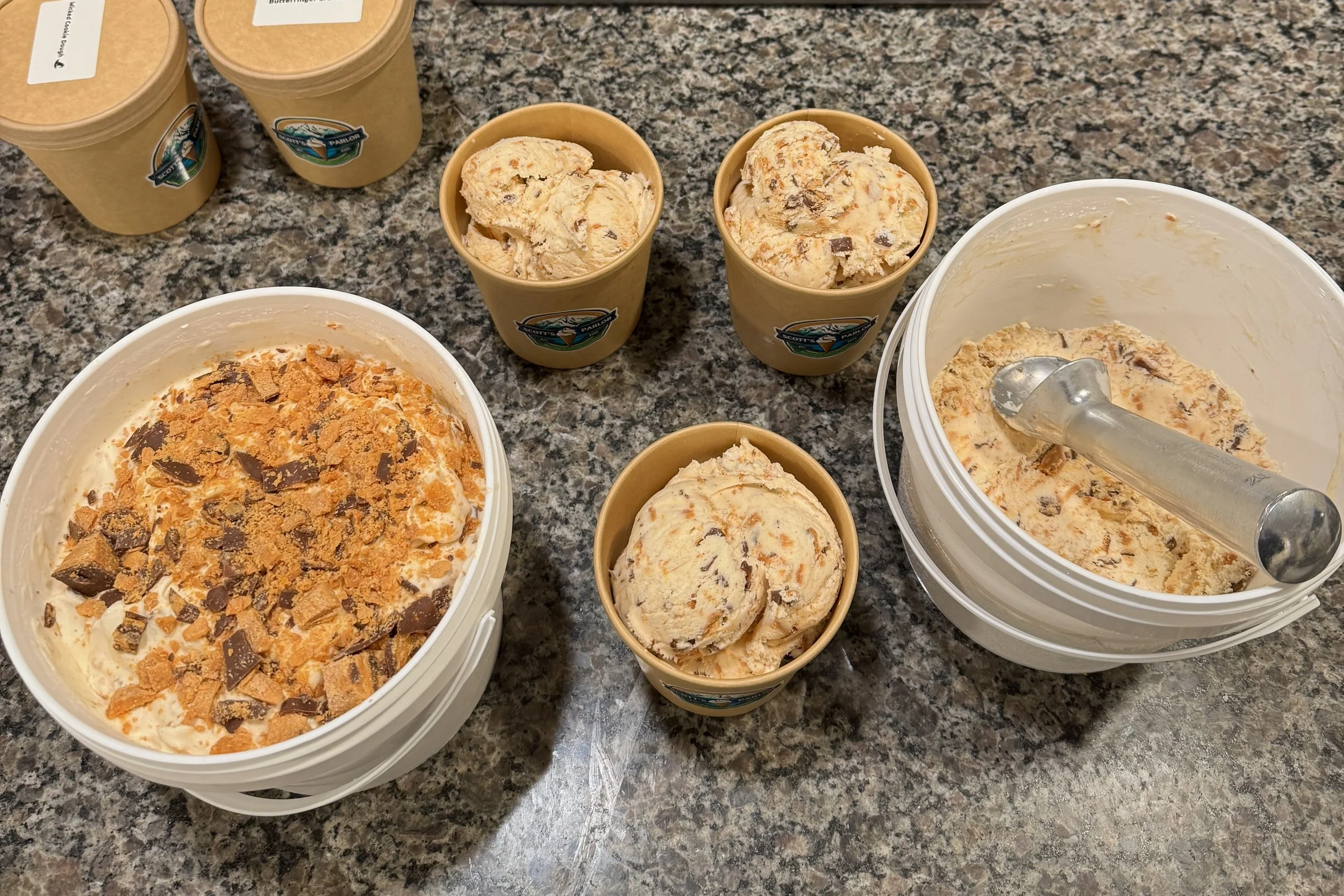 IMG_6517.jpg