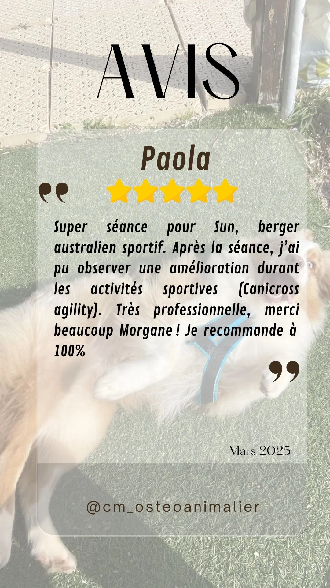 Copie de Copie de Copie de @cm_osteoanimalier.zip - 1.jpeg