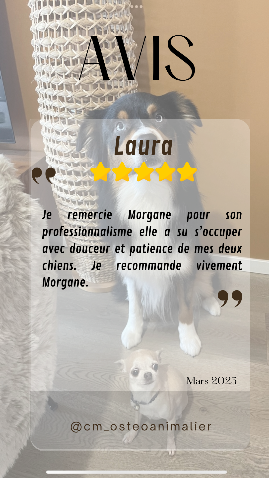 Copie de Copie de Copie de @cm_osteoanimalier.zip - 1.png