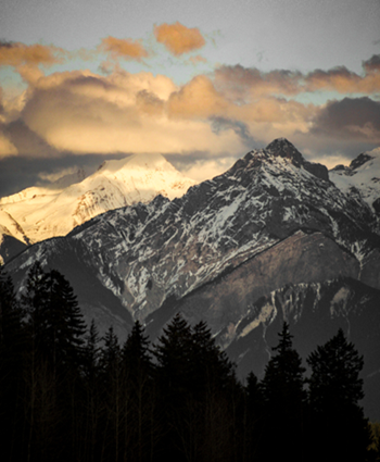 MOTI - Selkirk 2.png