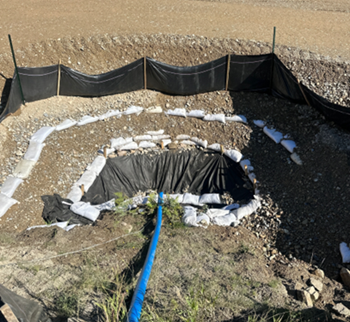 MOTI - Selkirk 1.png