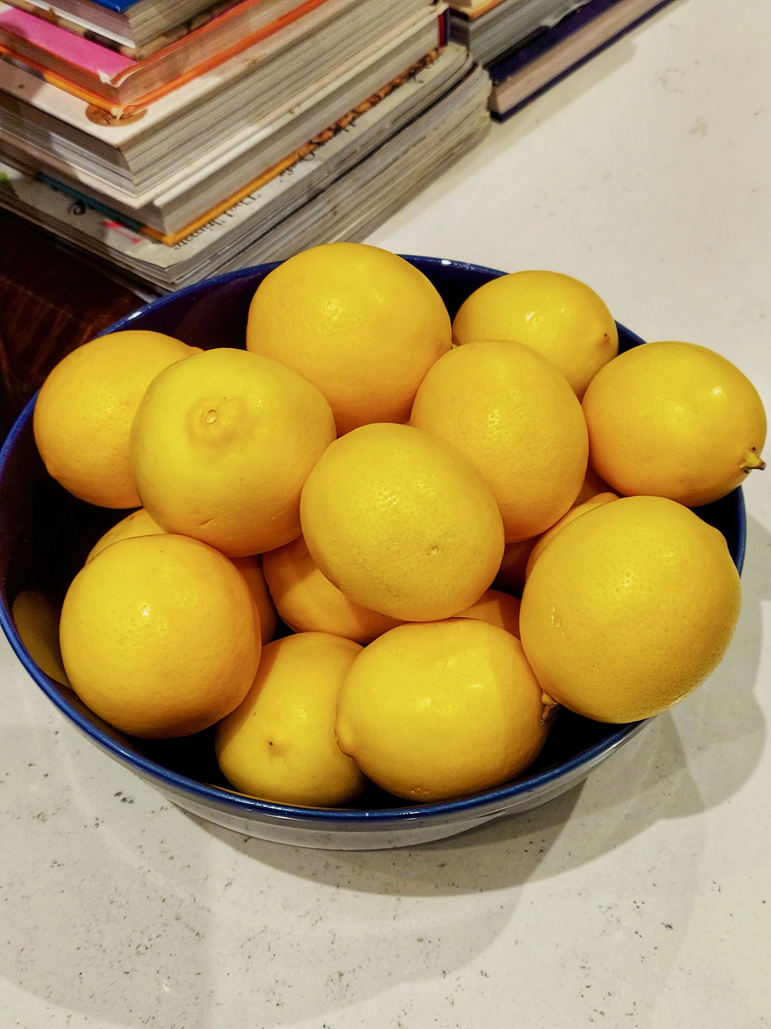 When Life Hands You Lemons