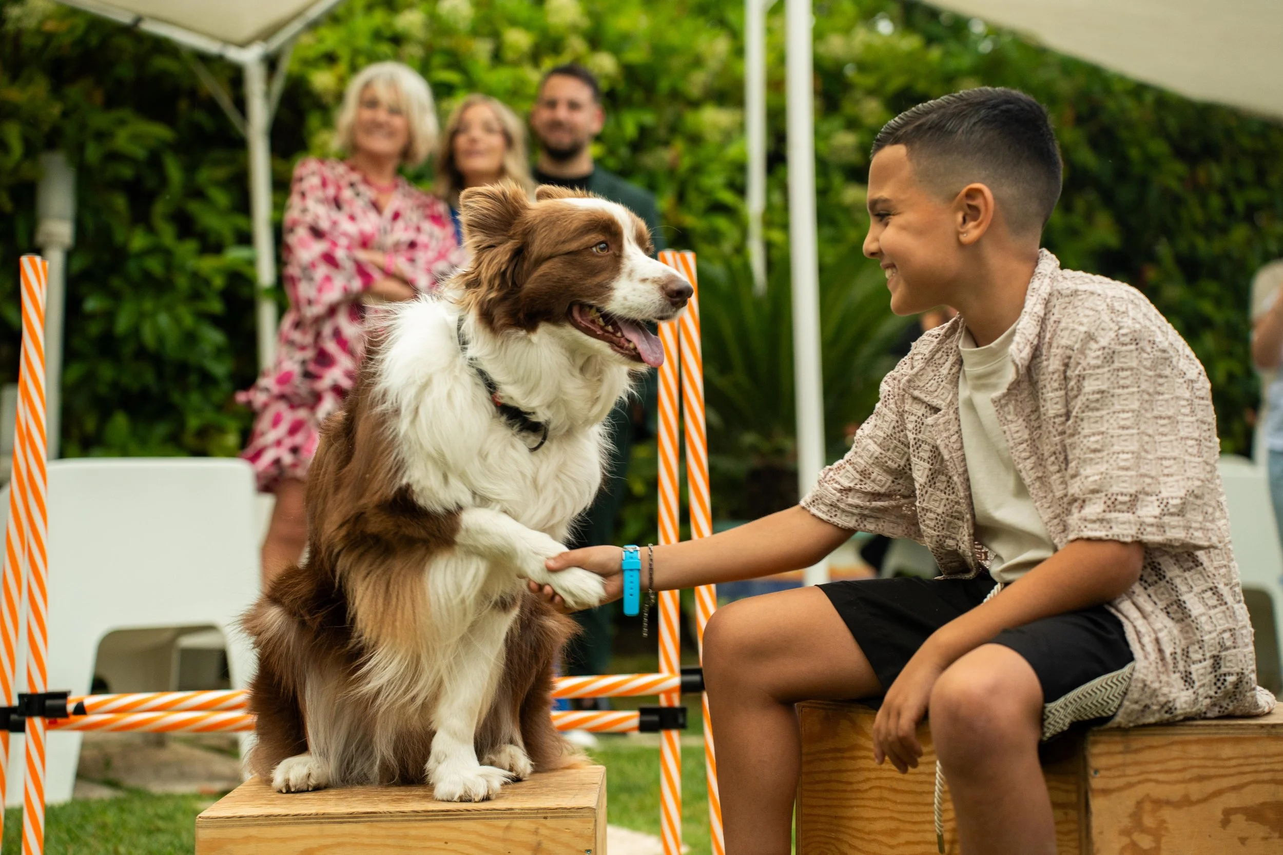 040525 - DOG SHOW - VILLA GARDENIA 15.jpg