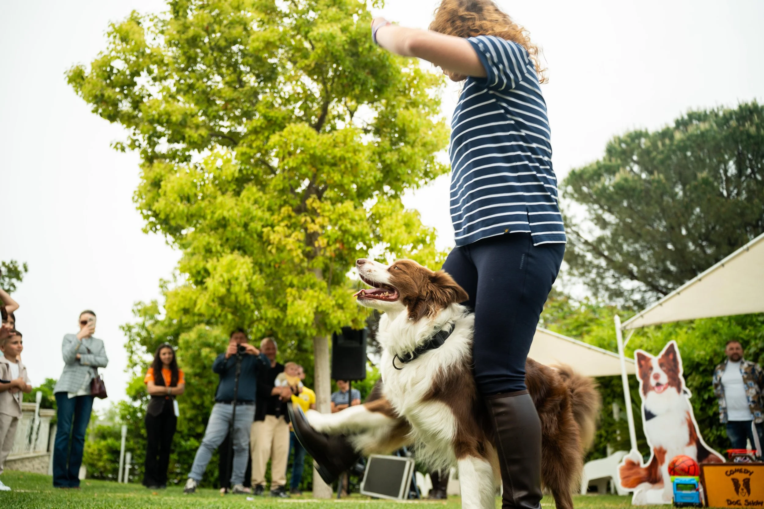 040525 - DOG SHOW - VILLA GARDENIA 14.jpg