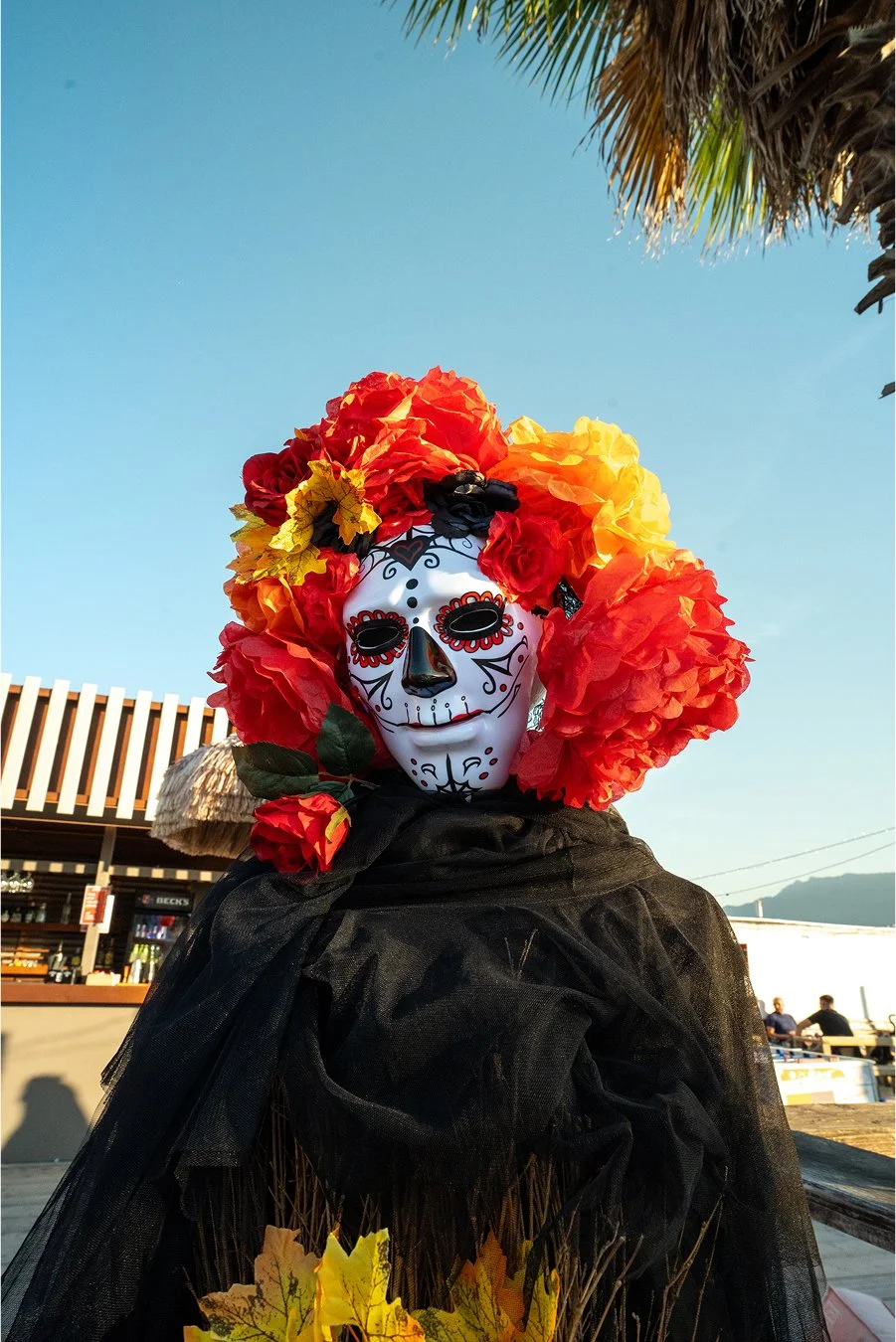 DSC08381.jpg