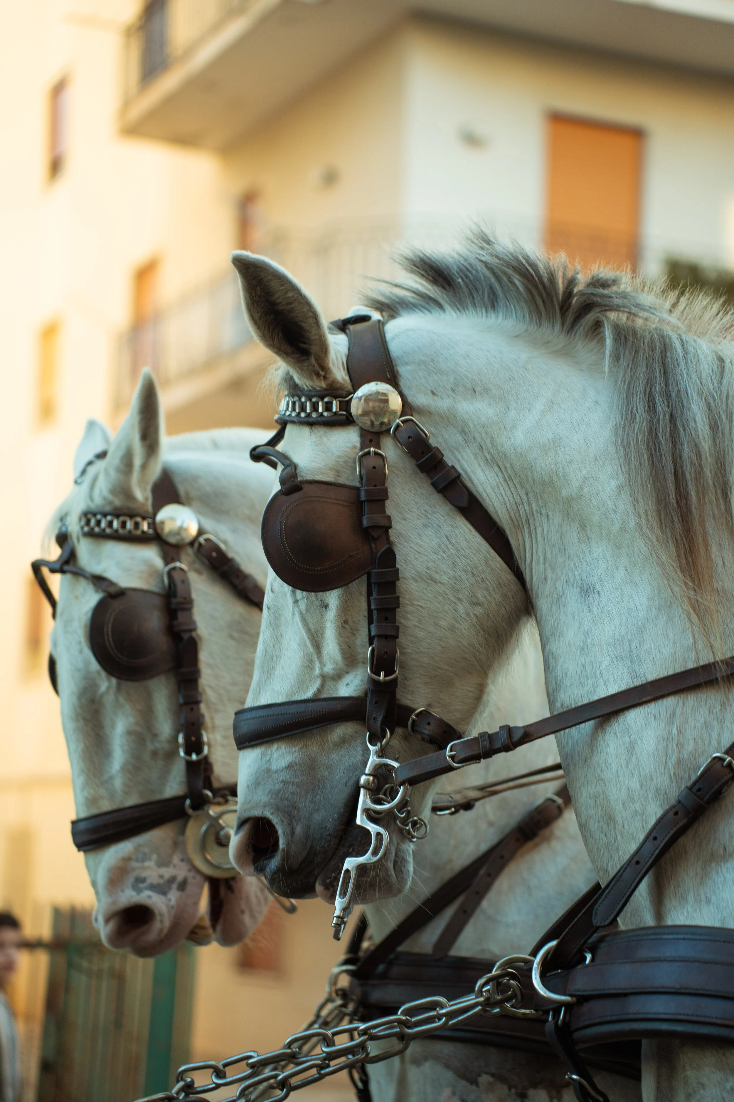040325_carnevale_ercolano39.jpg