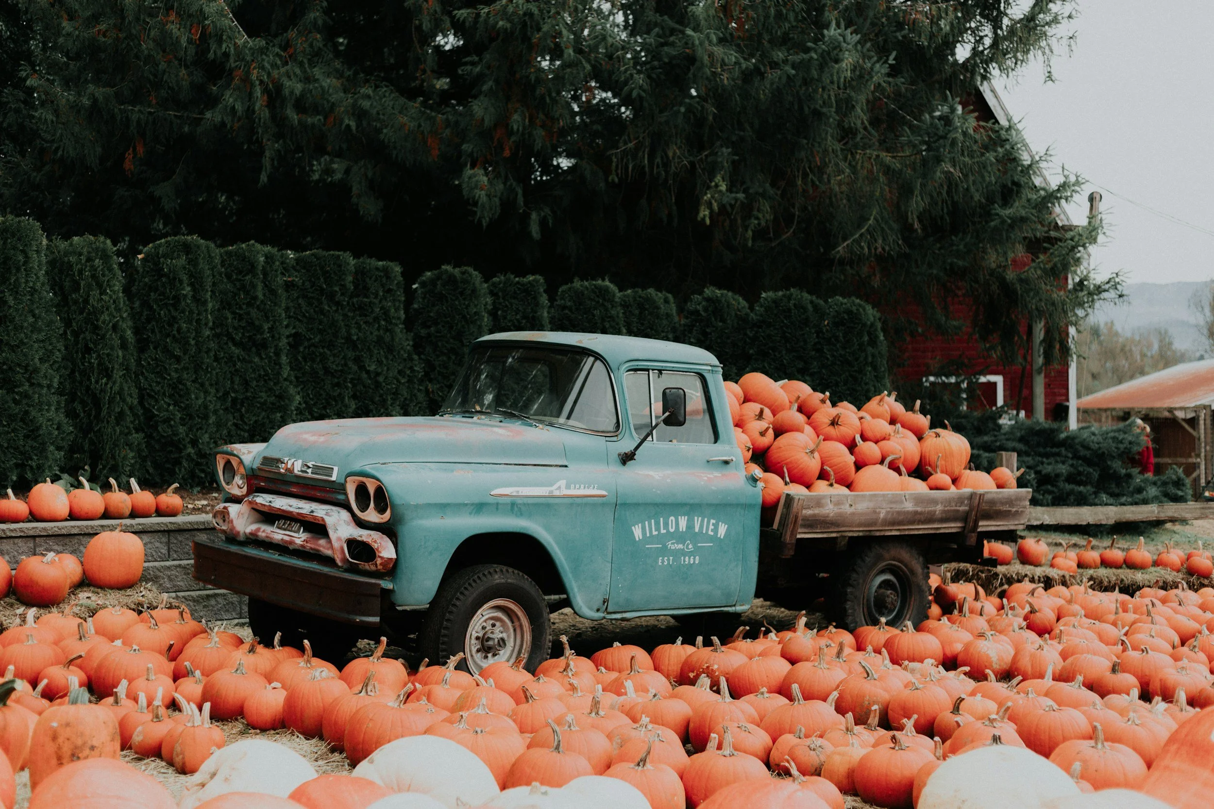 Family Fall Festival