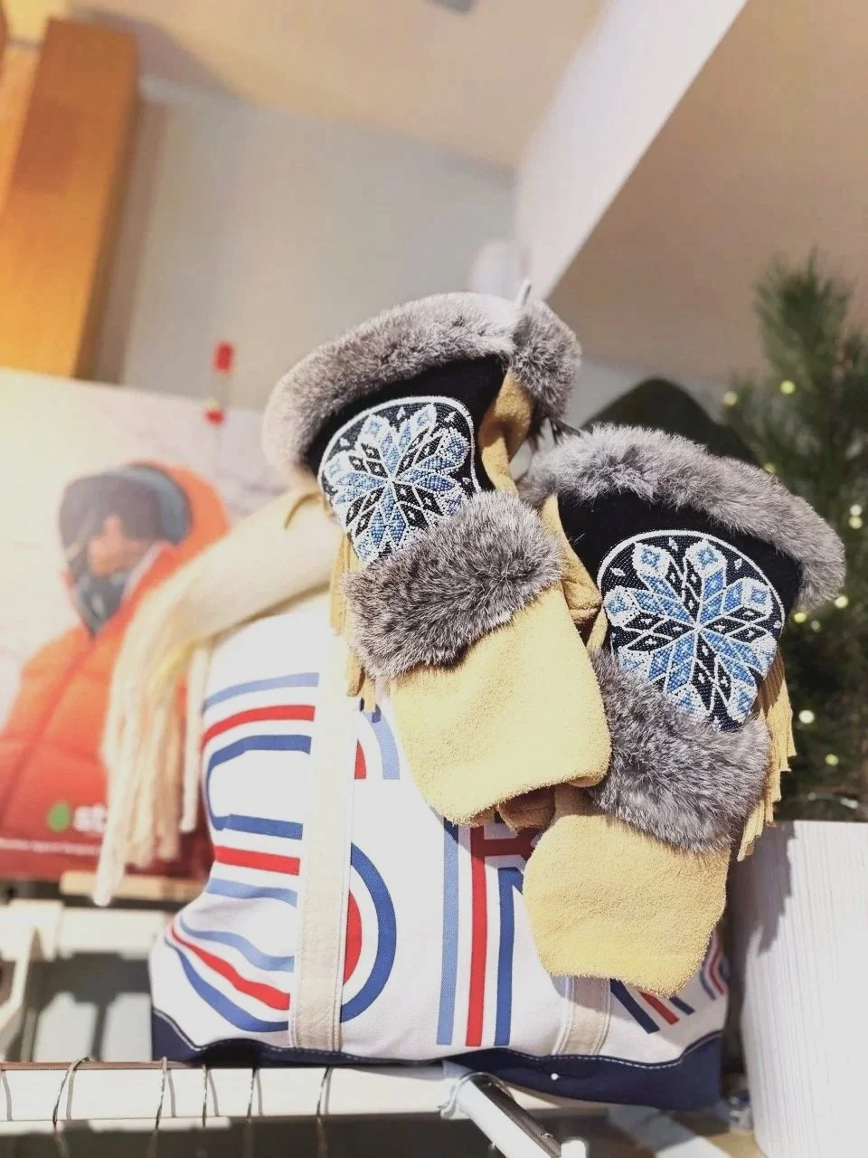 Astis mittens and ski bag