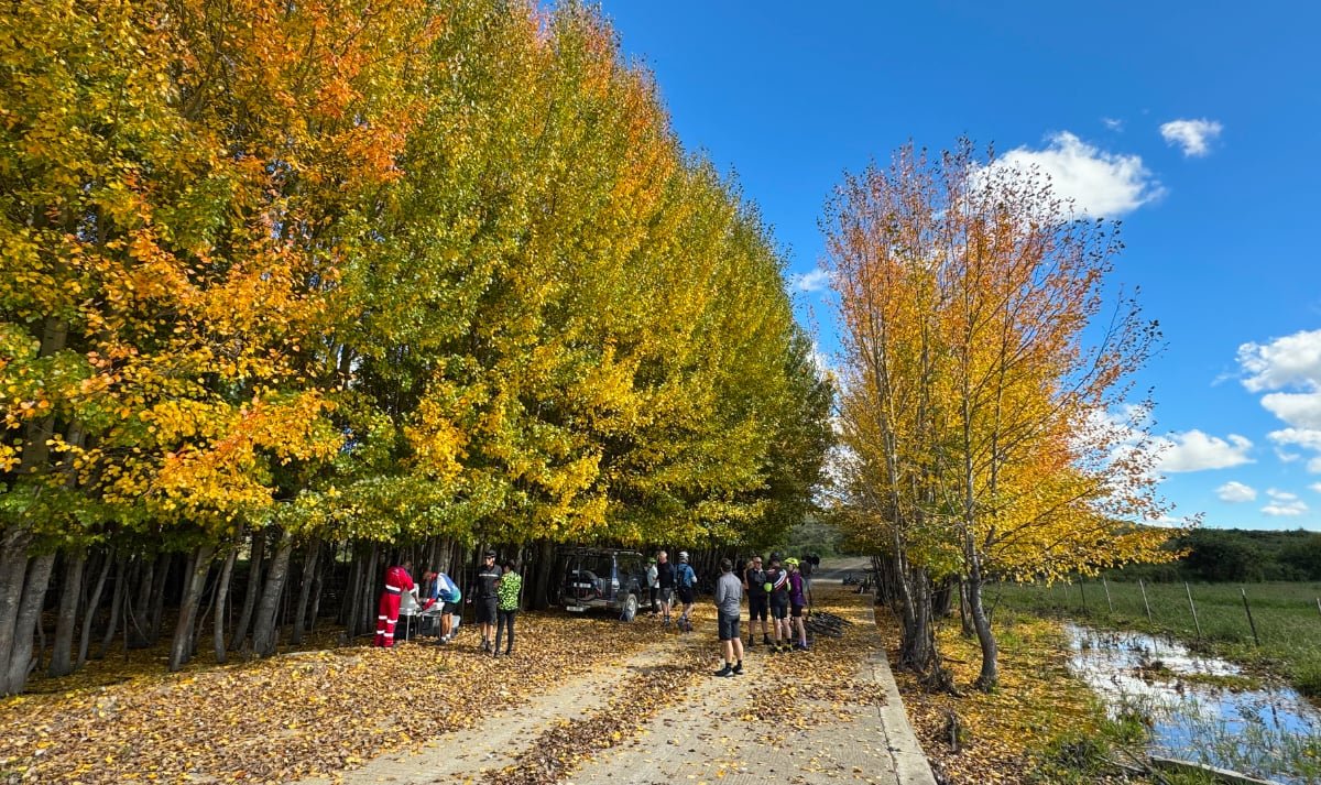 Group of people gathered outdoors on a fallen leaves-covered dirt path surrounded by yellow and orange trees during fall, with a blue sky and some clouds in the background.