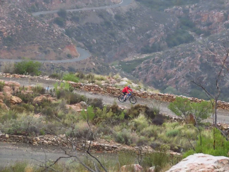 A person in a red jacket riding a mountain bike on a winding dirt trail in a canyon with rocky hills and sparse vegetation.