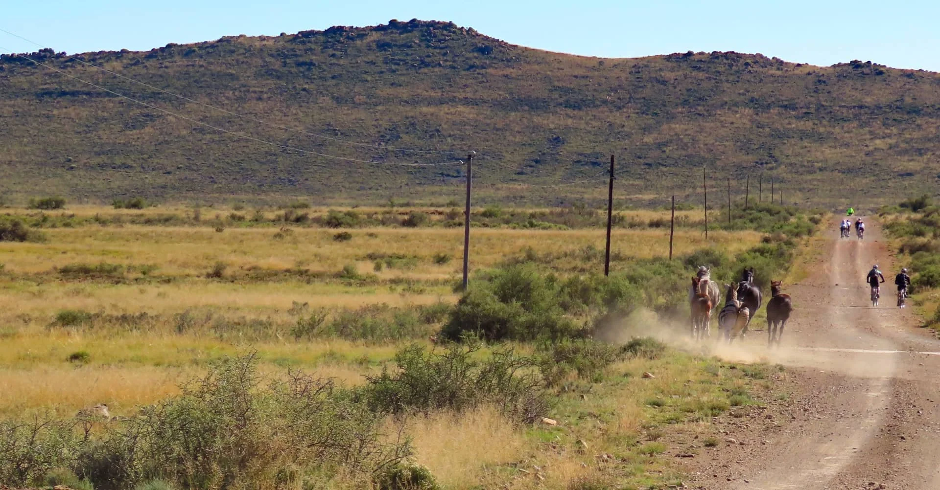 A dirt road running through a grassland with a group of horses and people riding bicycles in the distance, and a mountain in the background.