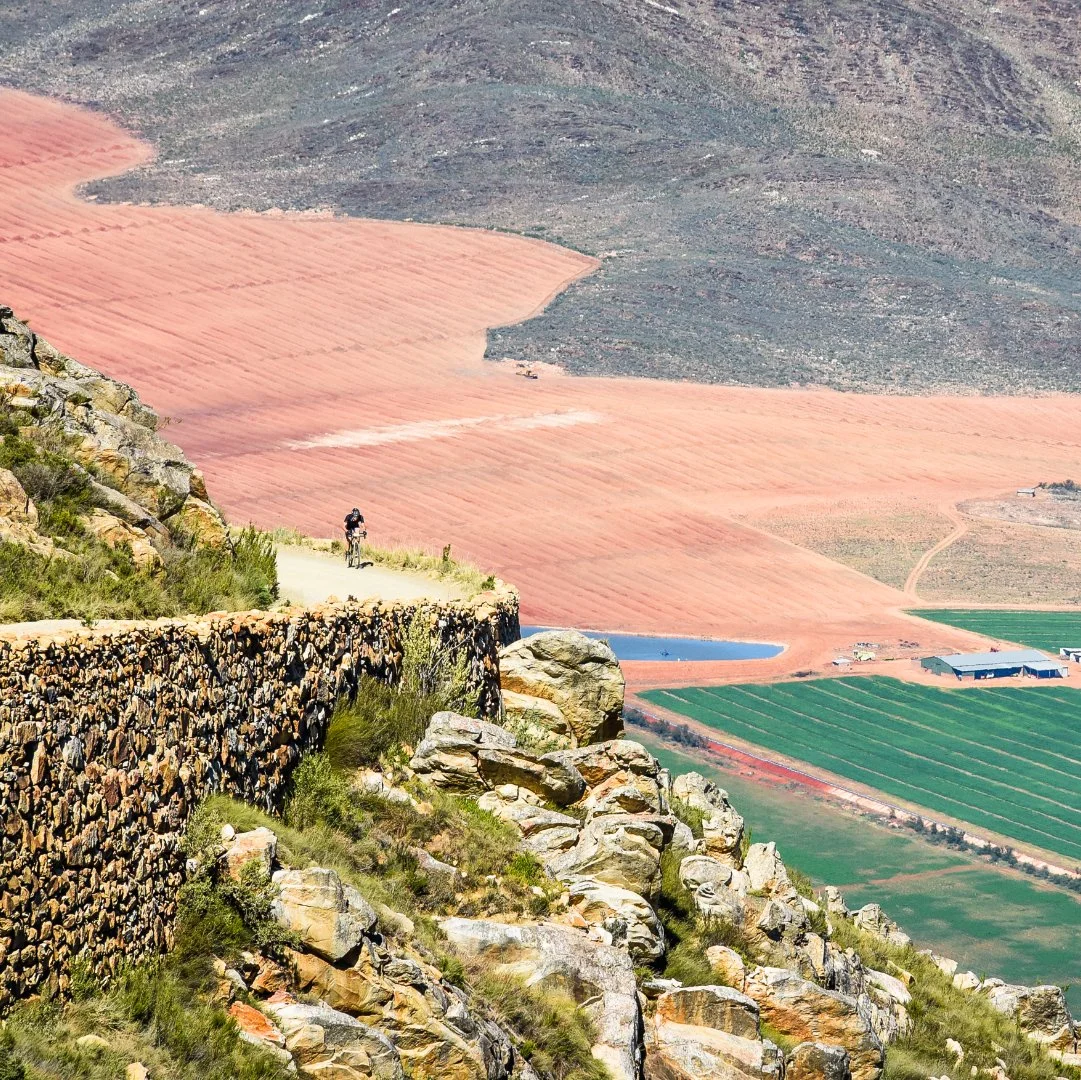 A person riding a bicycle on a dirt trail along a rocky hillside overlooking colorful agricultural fields and a distant mountain landscape.