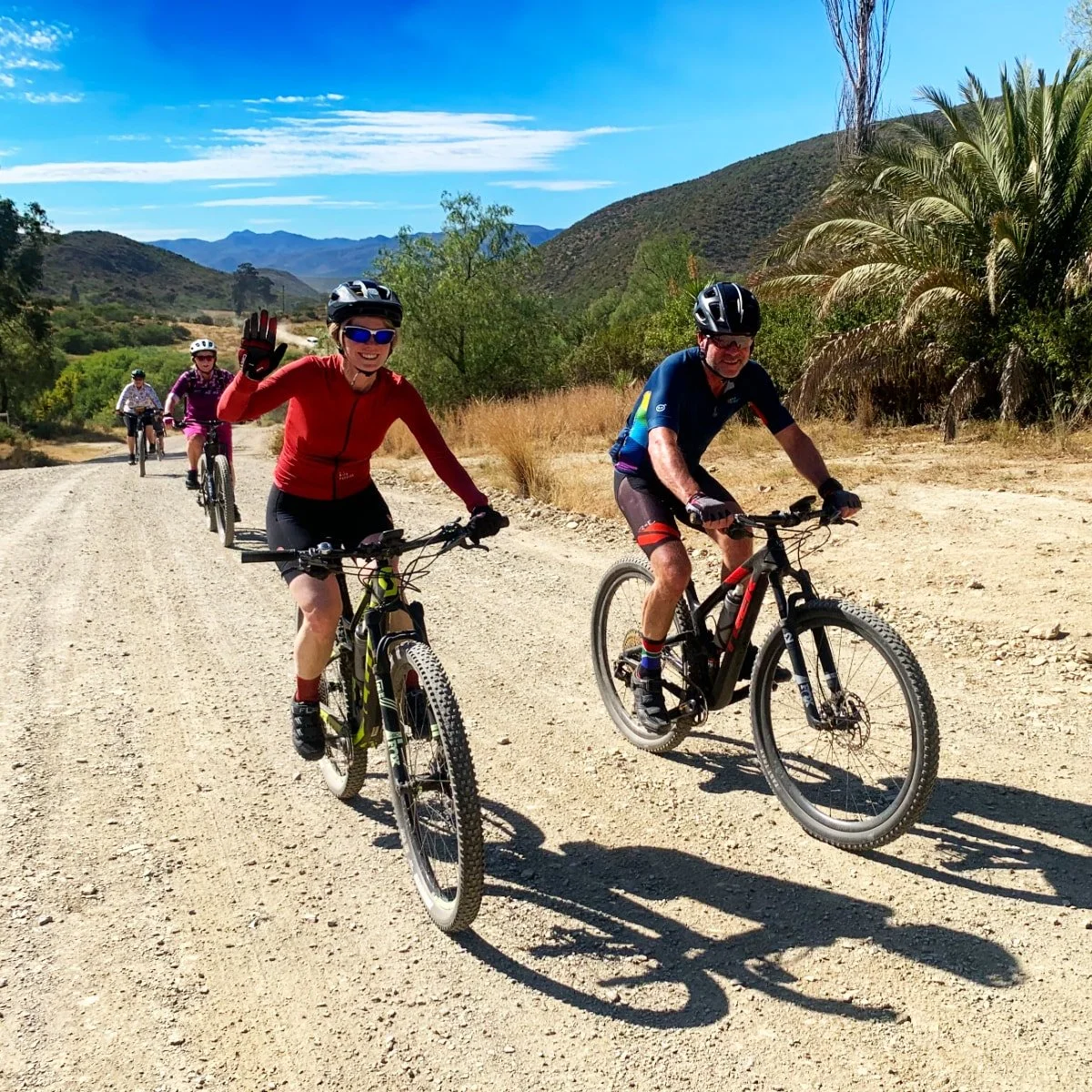 Group of four people mountain biking on a dirt trail in a scenic, mountainous area with clear blue skies and sparse vegetation.