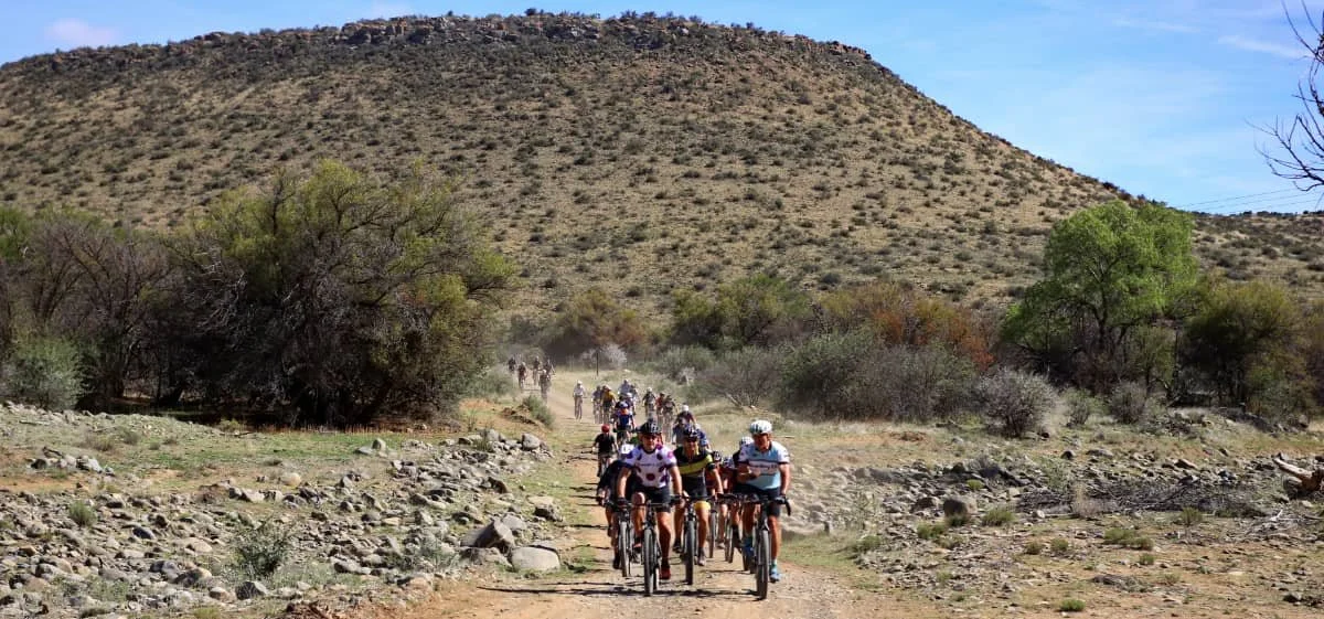 Group of cyclists riding on a dirt trail through a desert landscape with sparse trees and a mountain in the background.