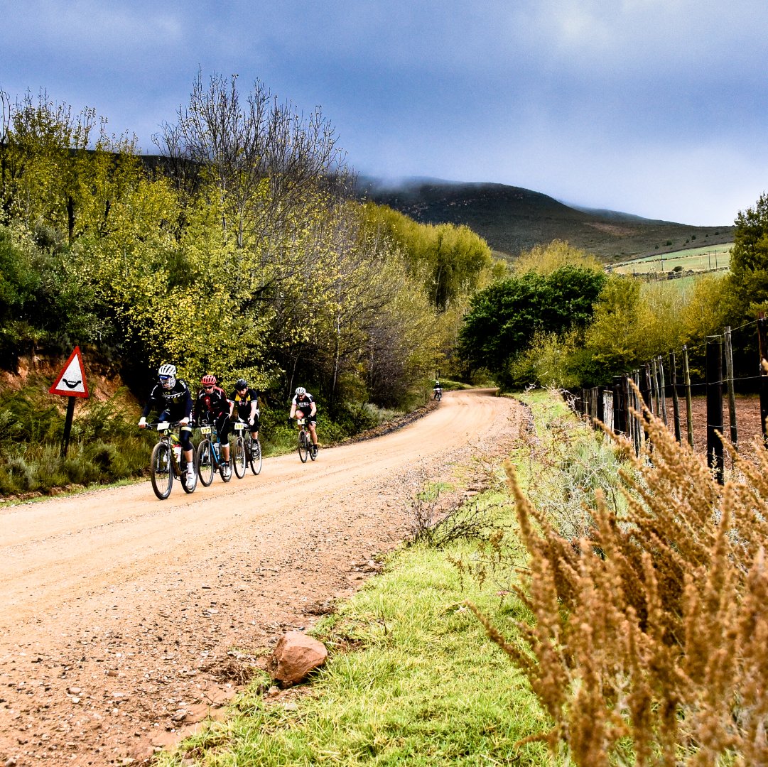 Group of four cyclists riding on a dirt road through a rural landscape with trees, a mountain in the background, and a cloudy sky.