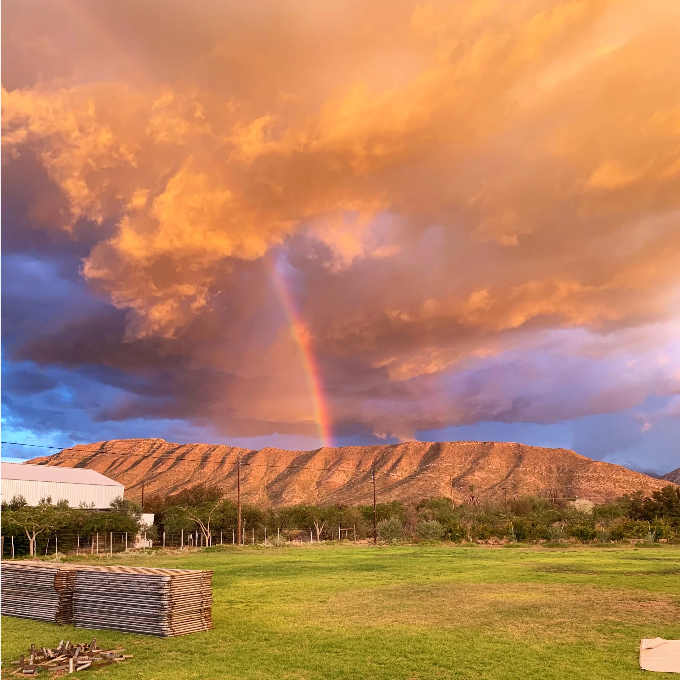 A landscape view of a mountain with a rainbow in the sky above. The sky is filled with orange and pink clouds during sunset, with lush green grass and trees in the foreground.