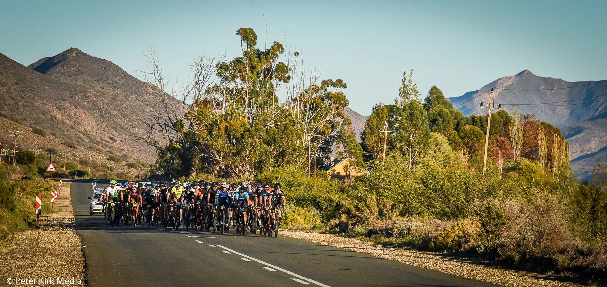 A large group of cyclists riding on a scenic mountain road with trees and mountains in the background.