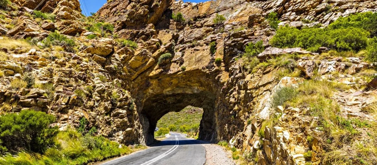 A paved road passing through a rock tunnel in a desert landscape with green shrubs and rocky cliffs.
